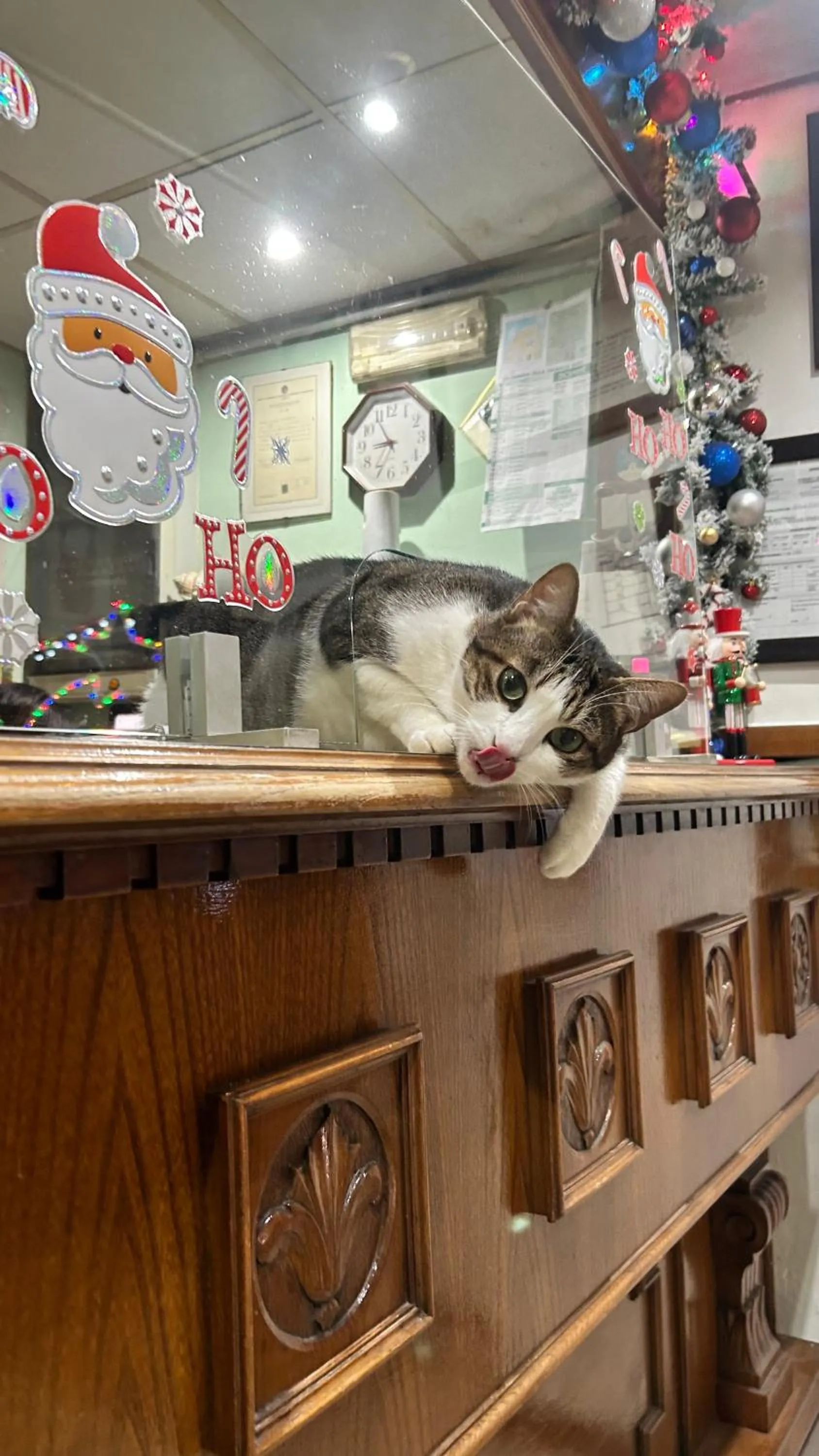 Lobby or reception in Albergo fiorita