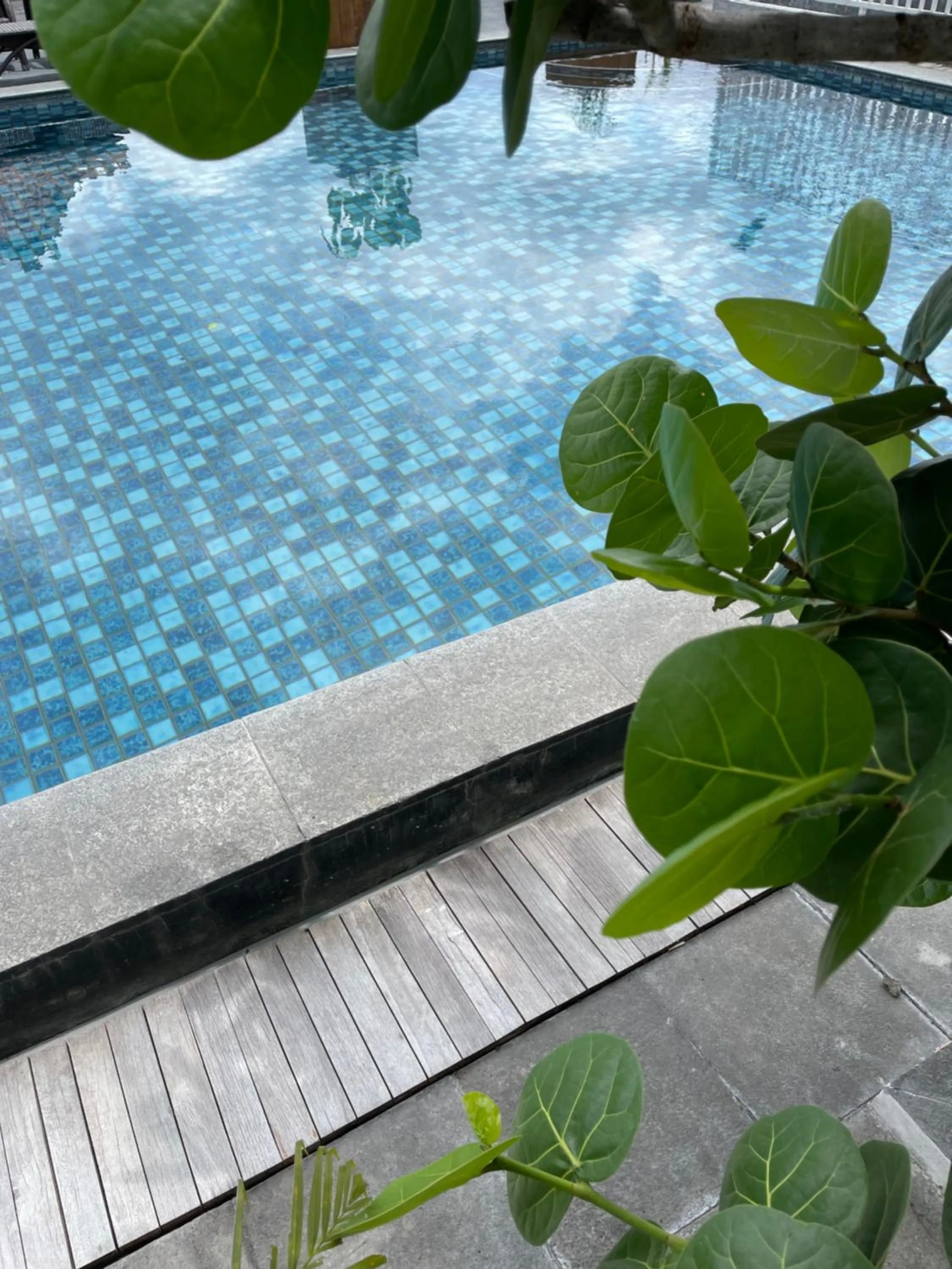 Pool view in SARE HOTEL MALIOBORO