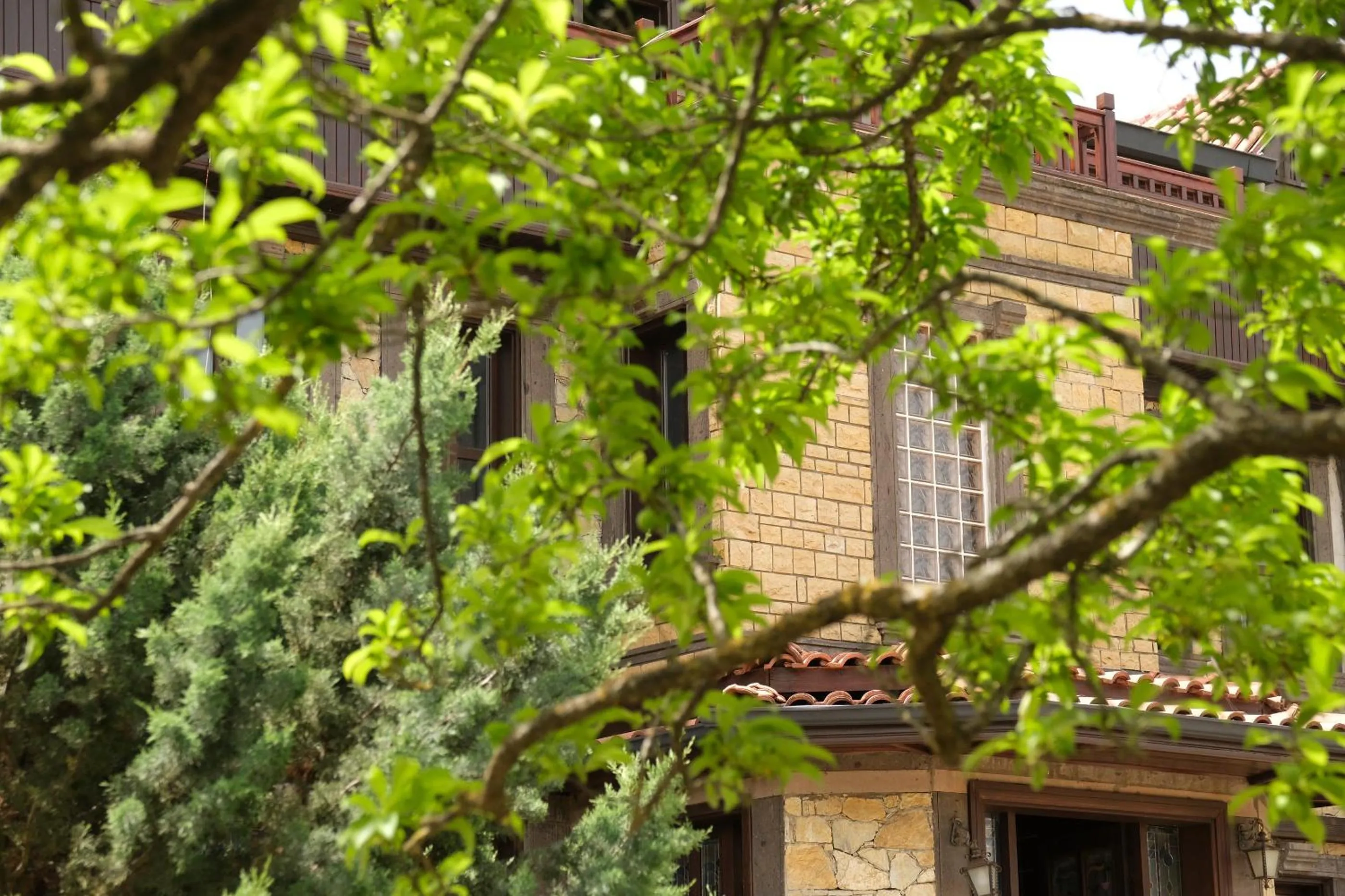 Property building in Enso Inn