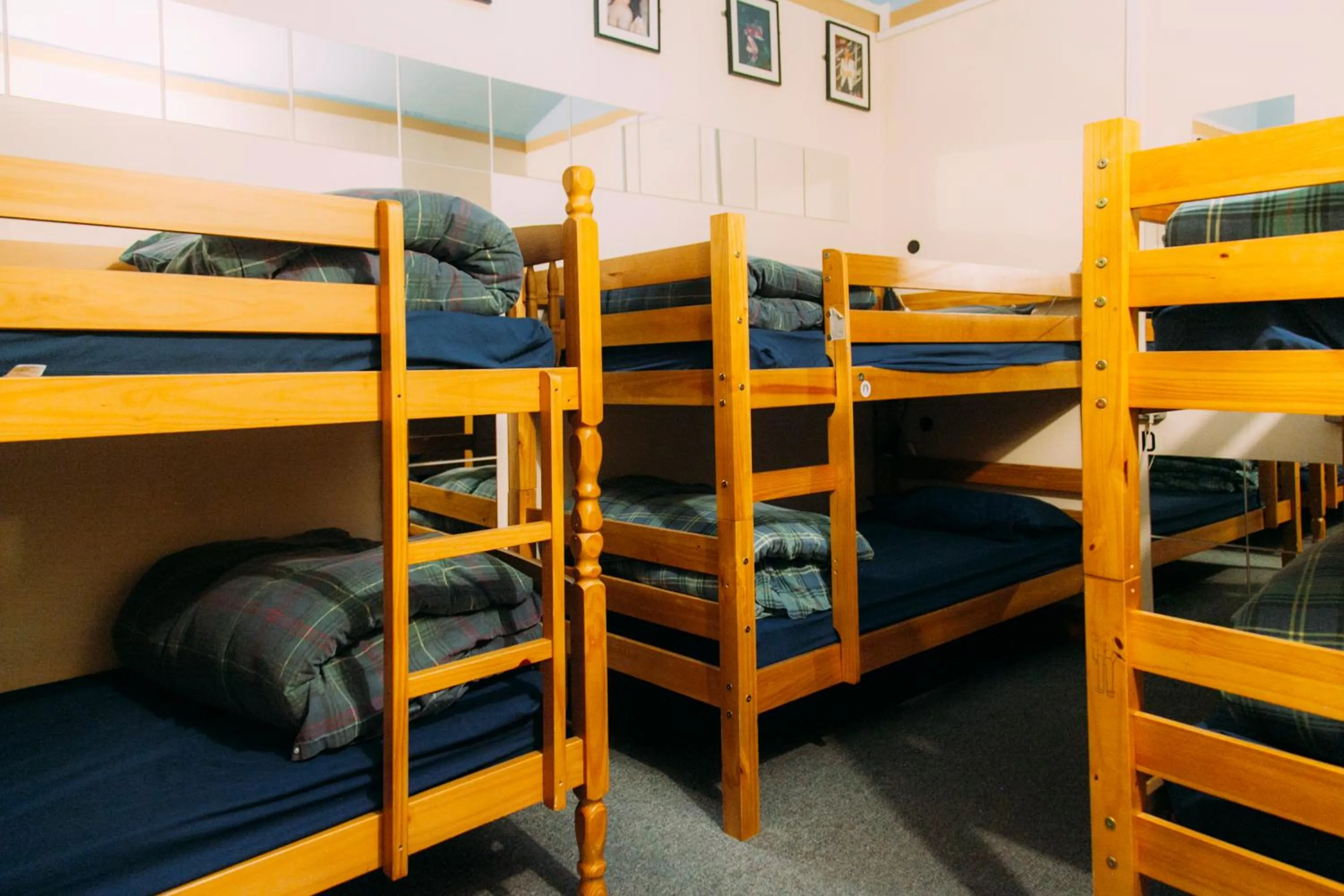 bunk bed, Bed in Belford Hostel