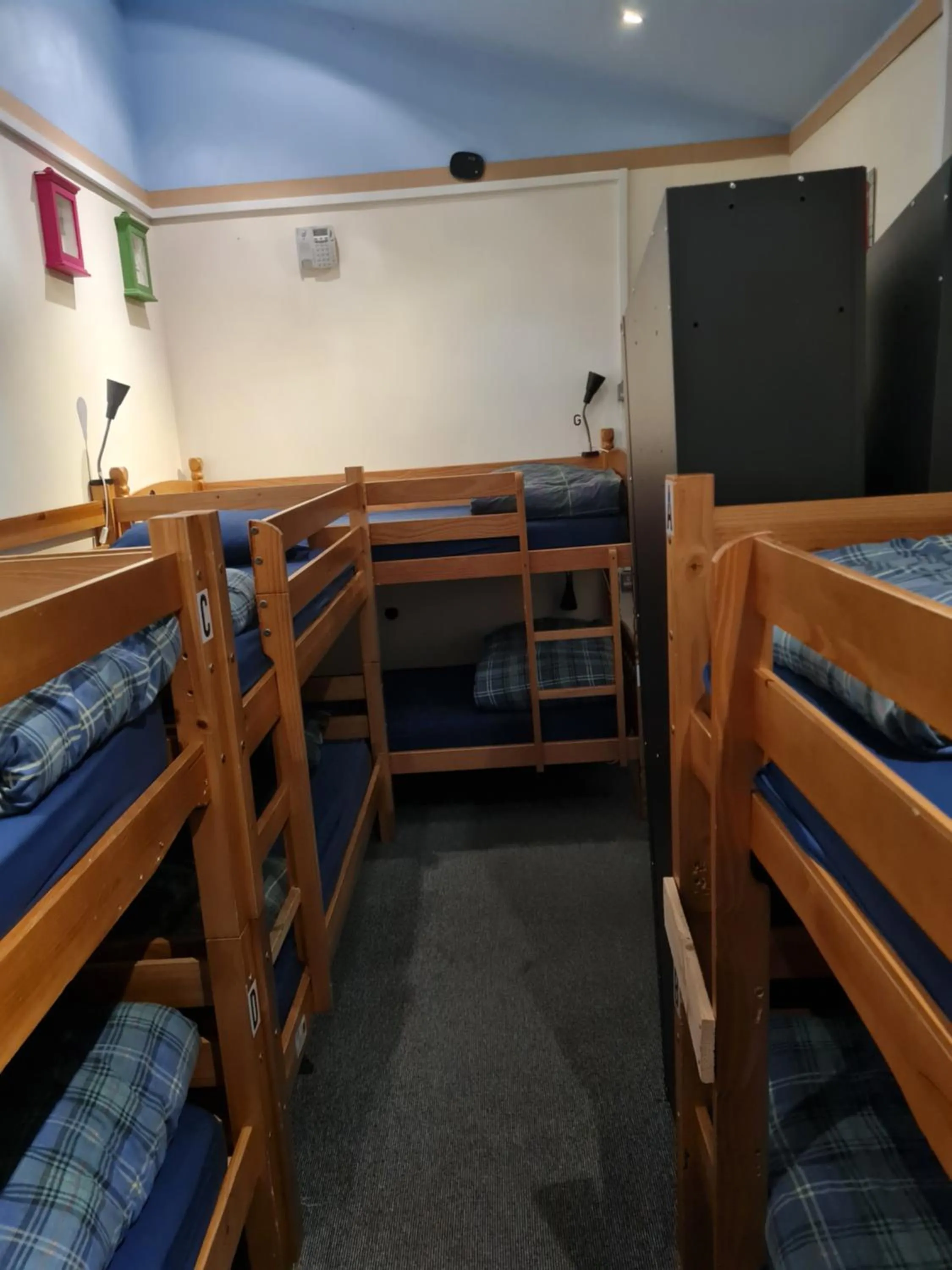 bunk bed, Bed in Belford Hostel