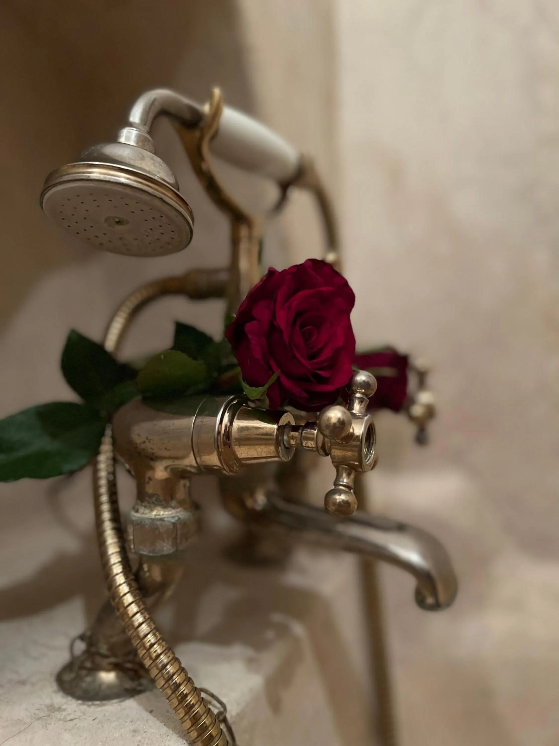 Bathroom in Riad Malfa