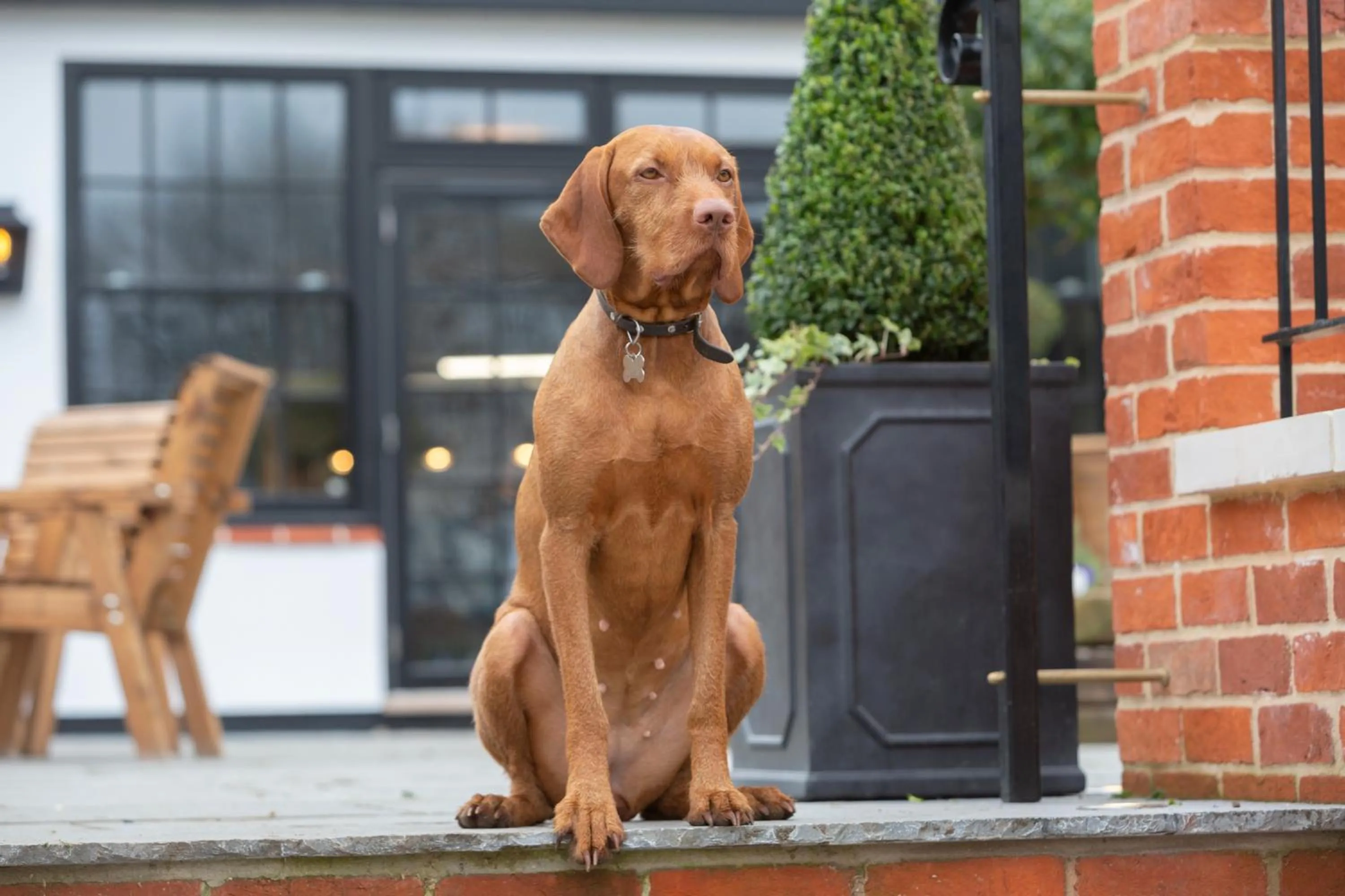 Balcony/Terrace in Worlington Hall