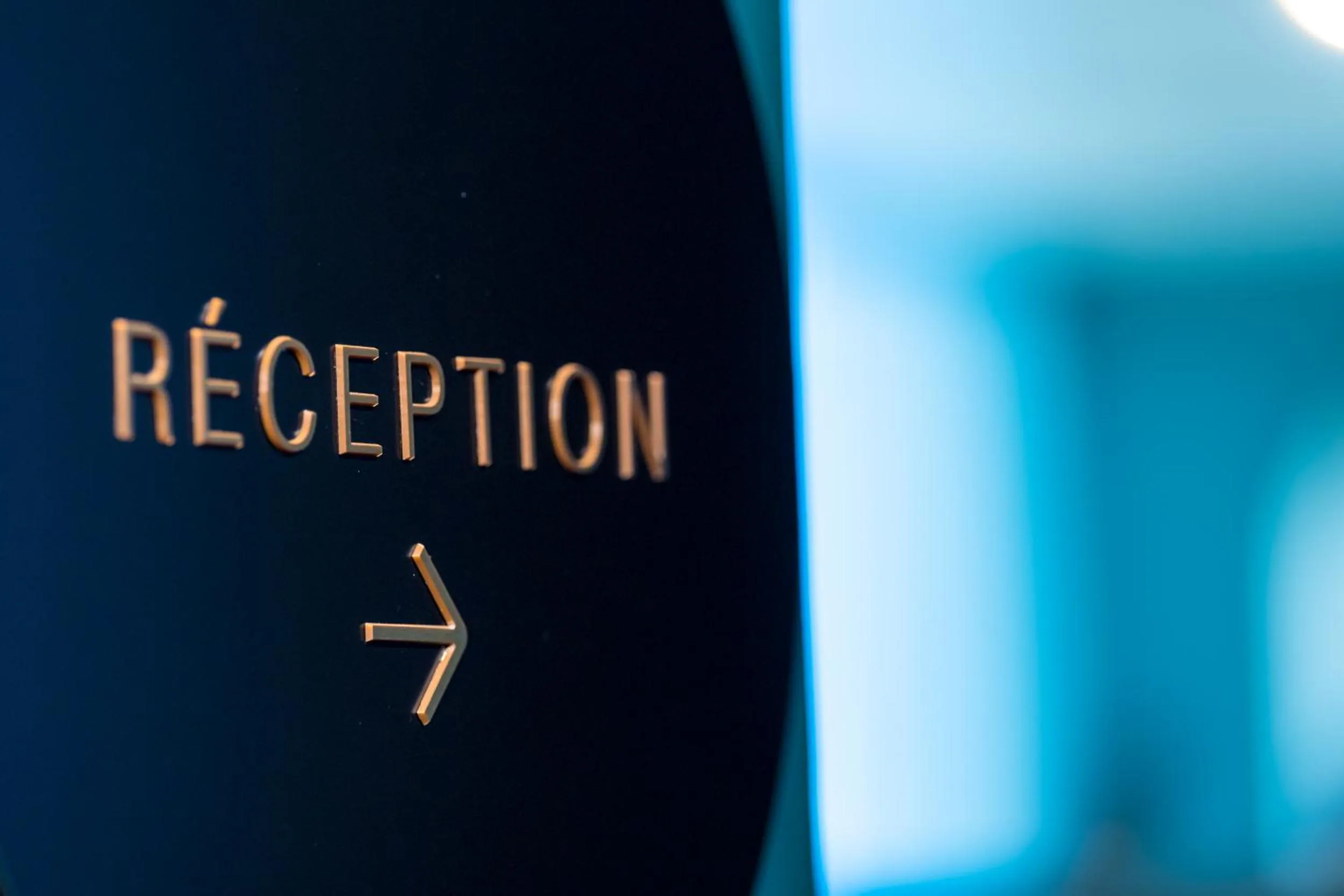 Lobby or reception in Hotel D Bulle - La Gruyère