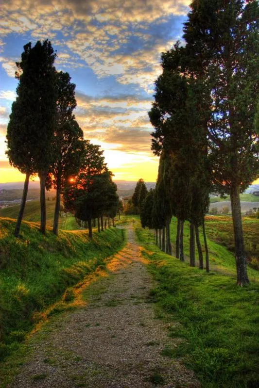 View (from property/room) in Locanda Viani