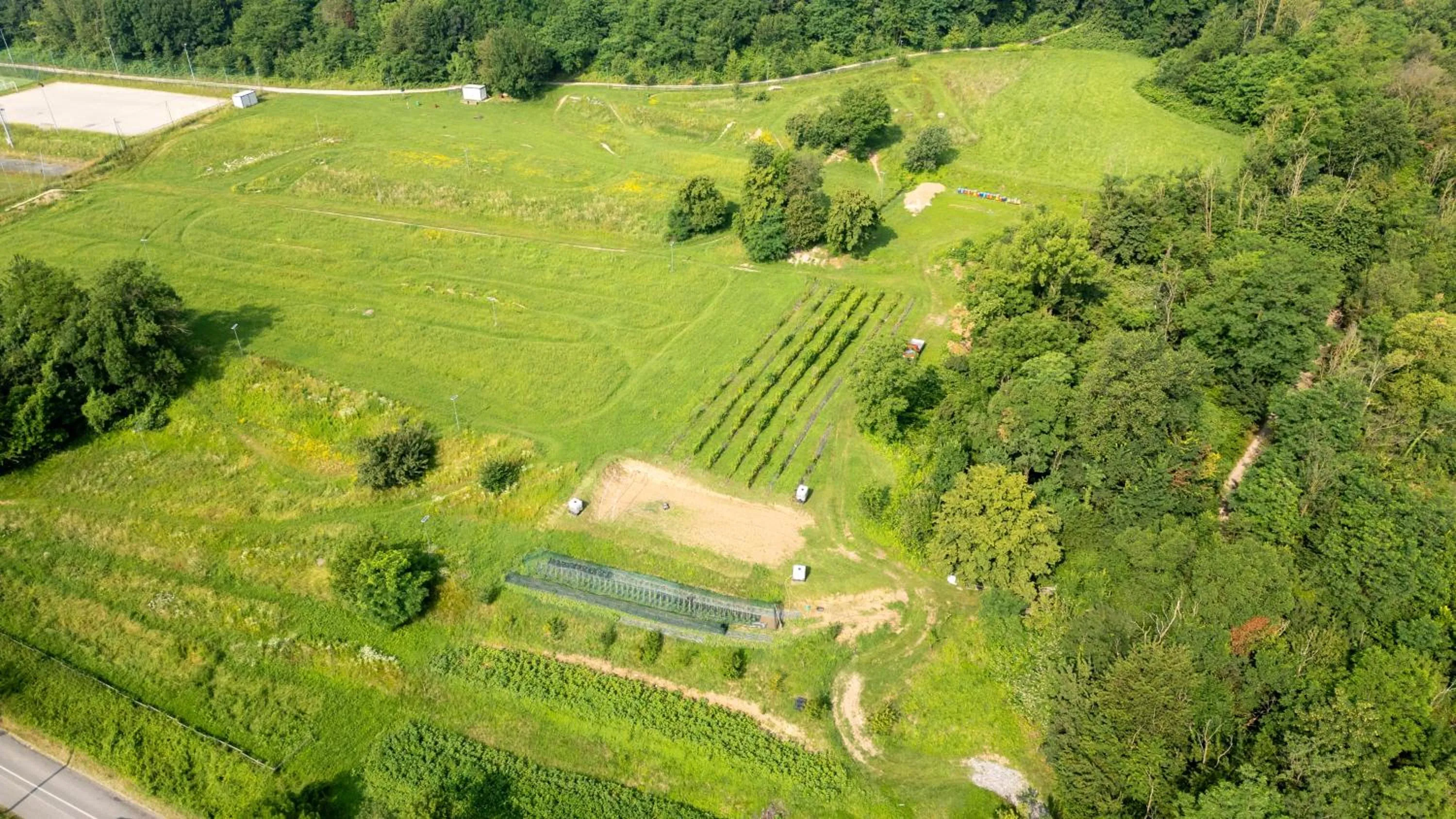 Natural landscape in La Casa del Mulino