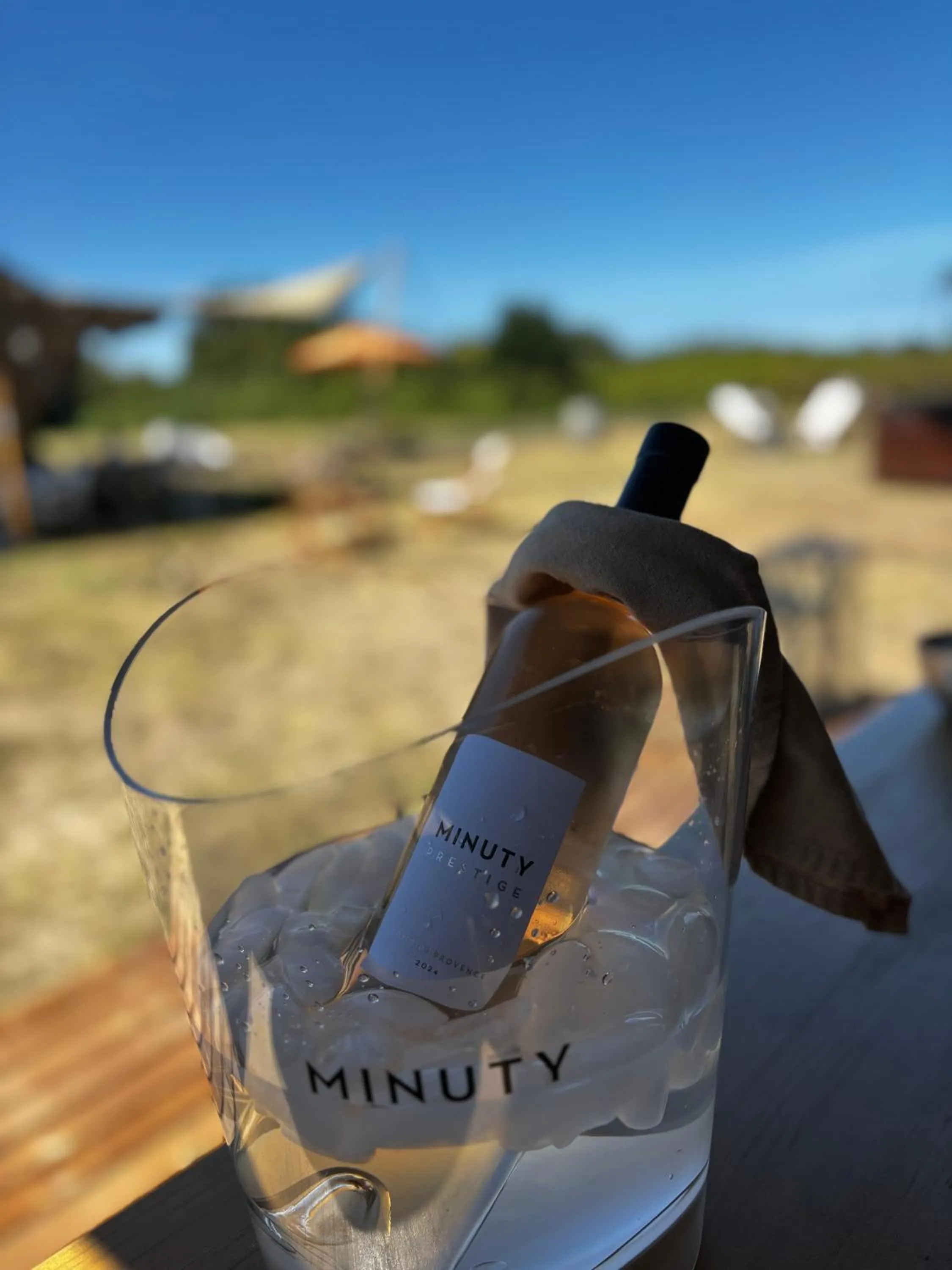 Château de Neyran chambre d'hôtes & Spa