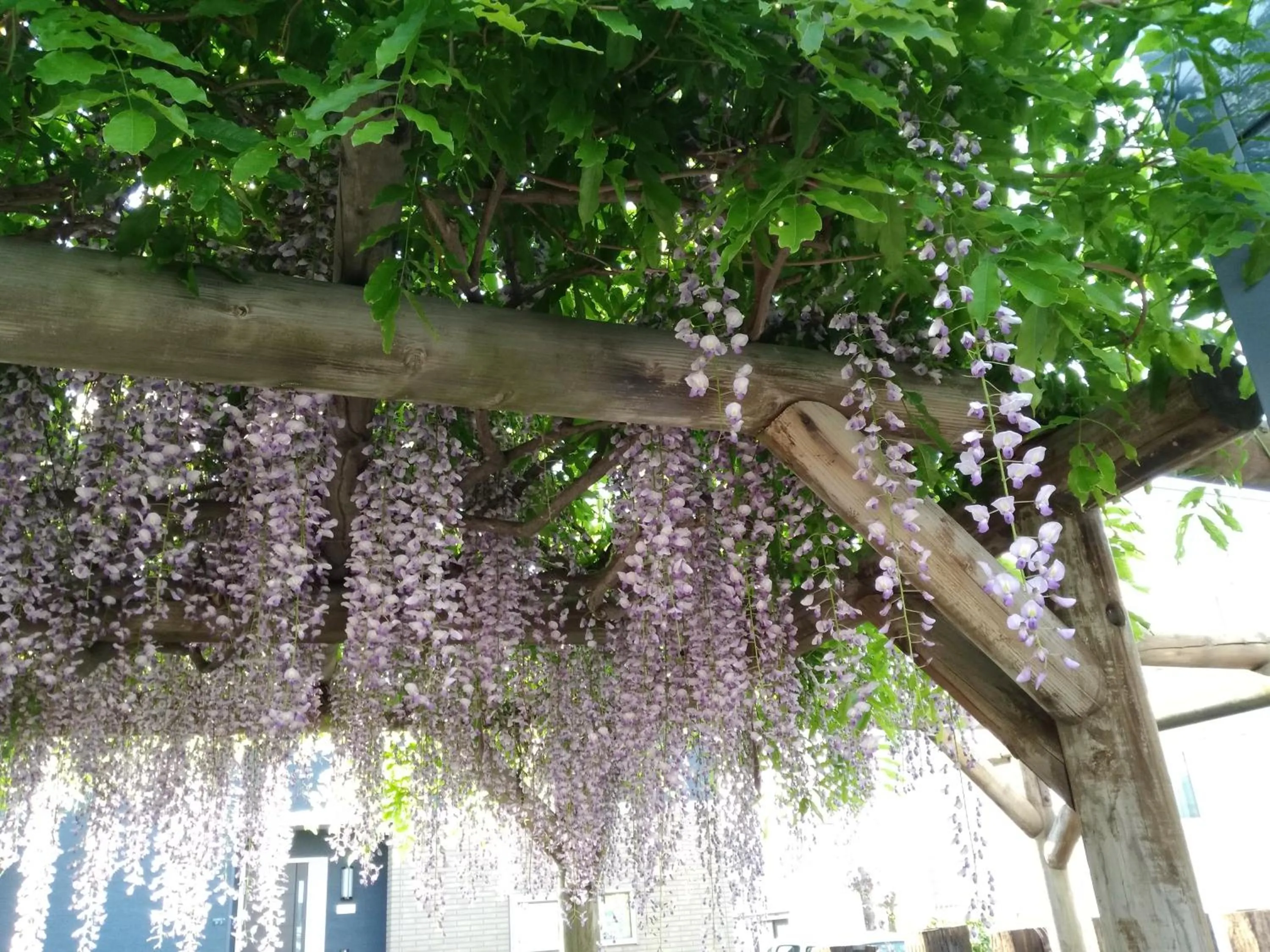 Property building in Sapporoの実家 B&B Yoshida