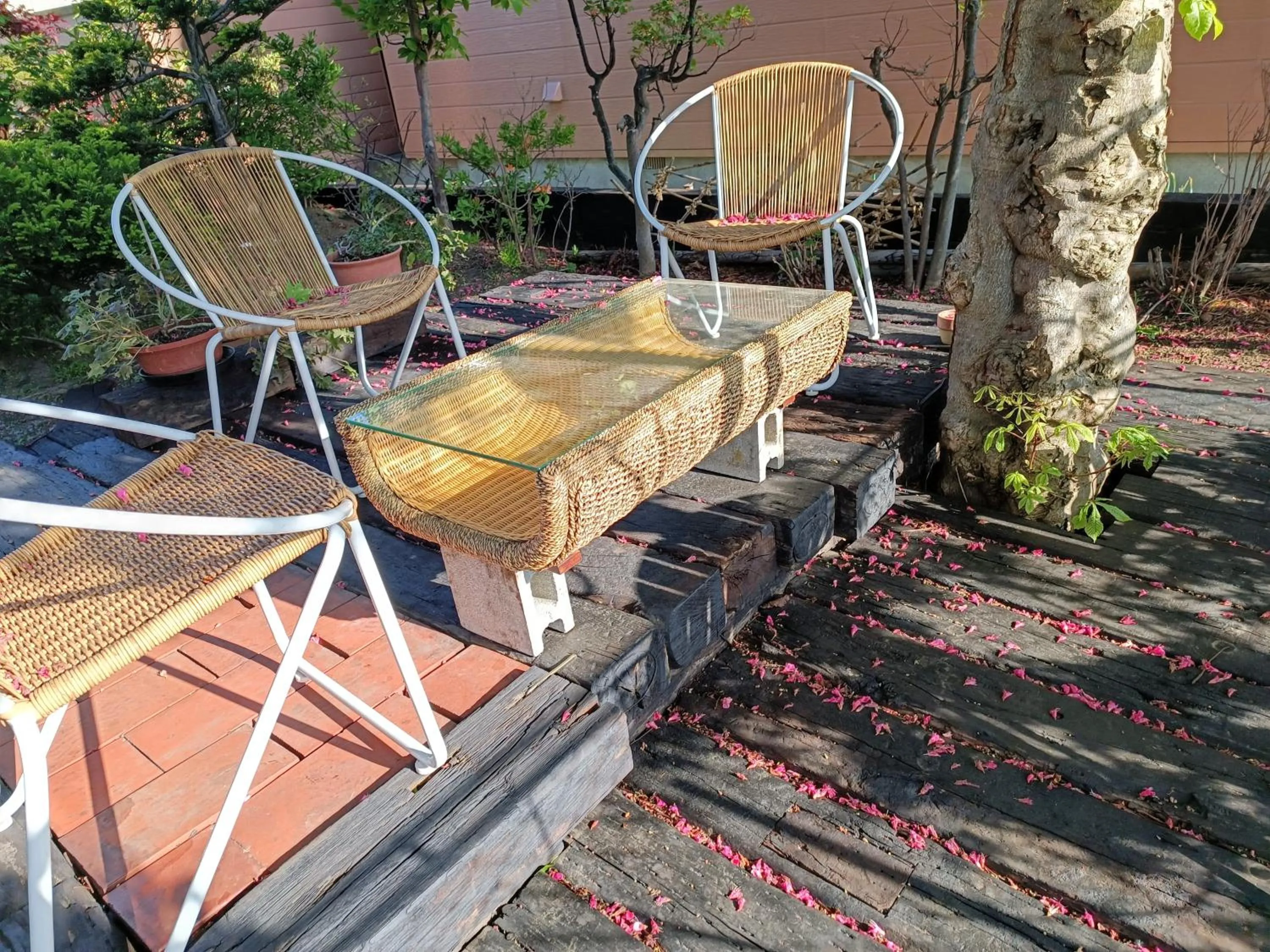 Patio in Sapporoの実家 B&B Yoshida