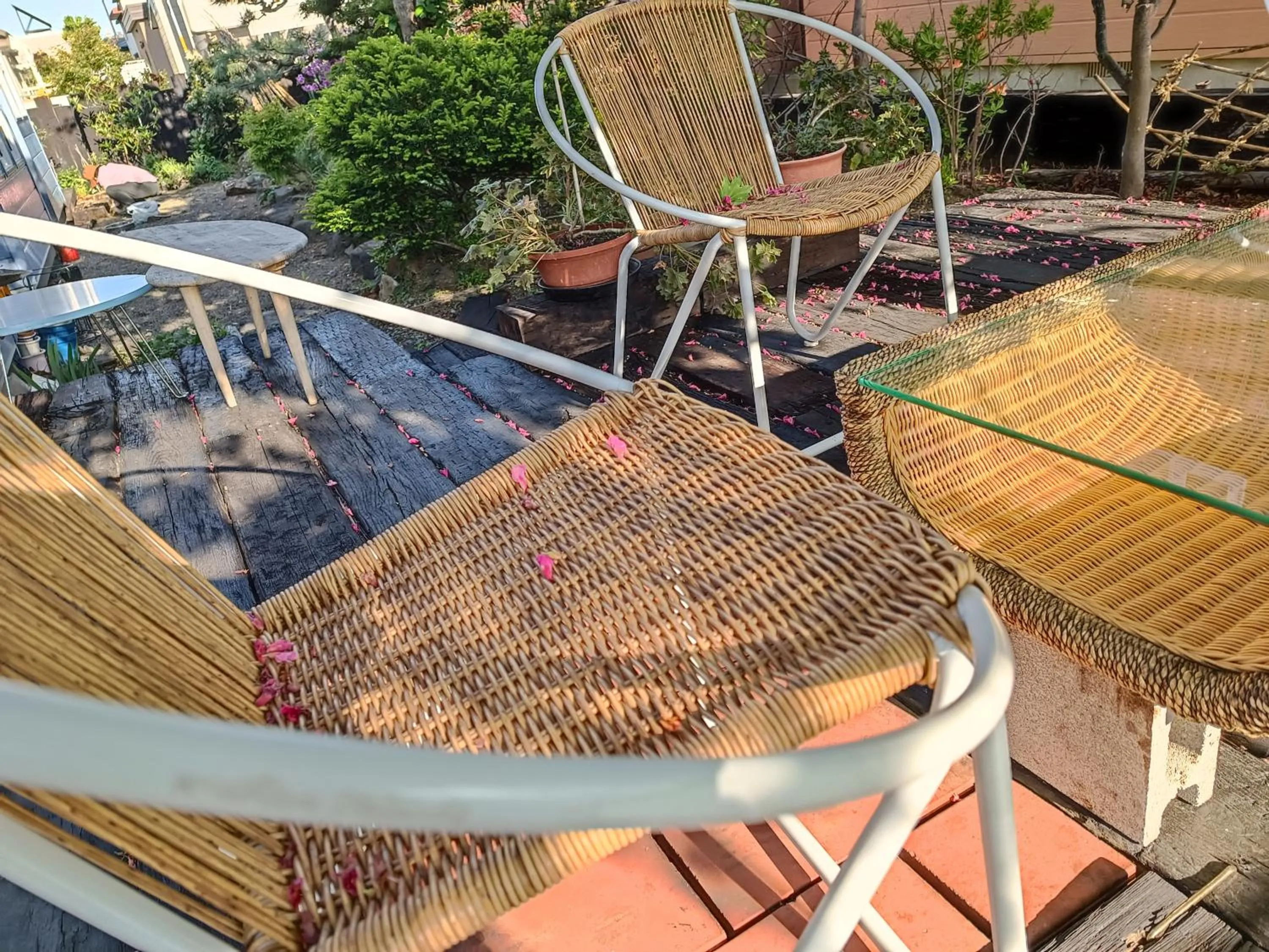 Large Twin Room - single occupancy in Sapporoの実家 B&B Yoshida