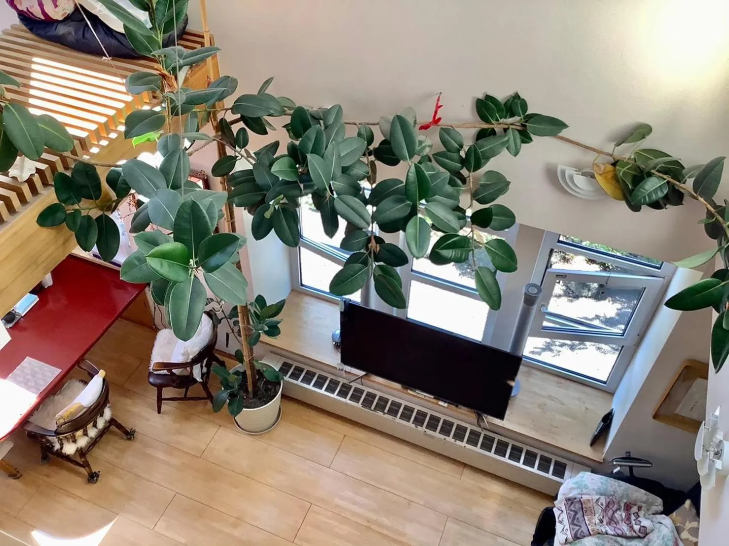 Lobby or reception in Sapporoの実家 B&B Yoshida