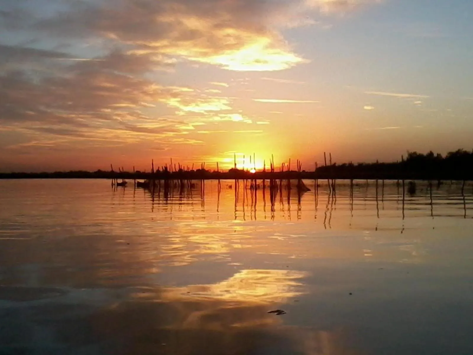 Summer in Agriturismo La Barena