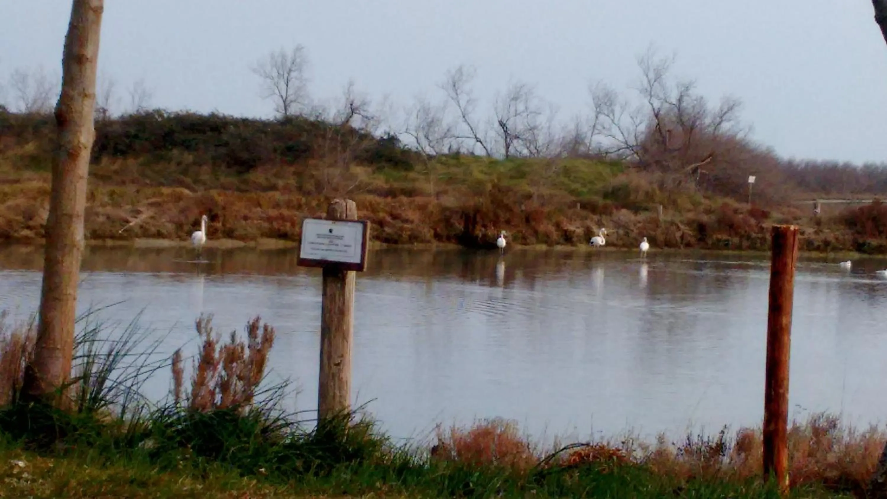 Animals in Agriturismo La Barena