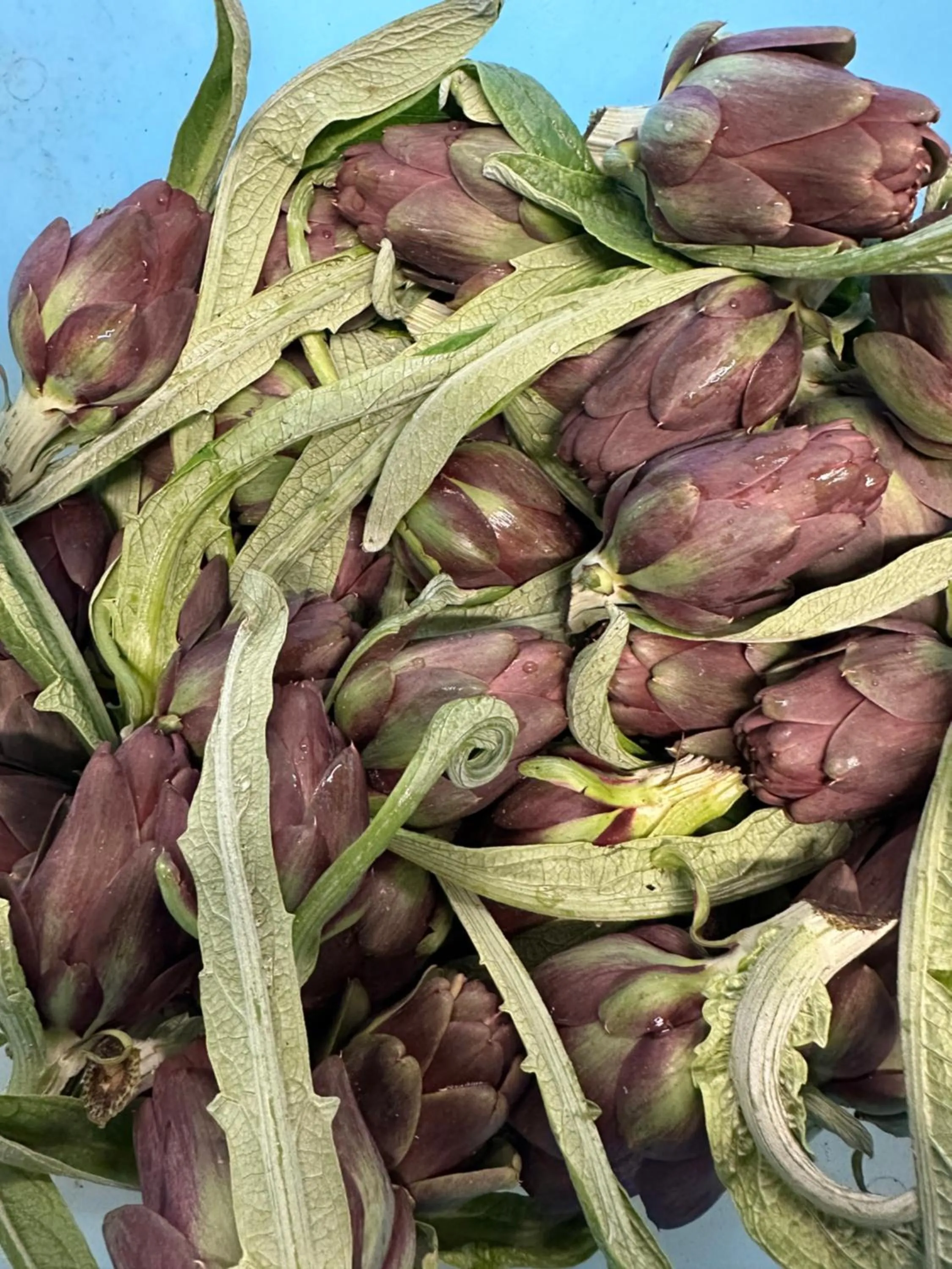 Agriturismo La Barena