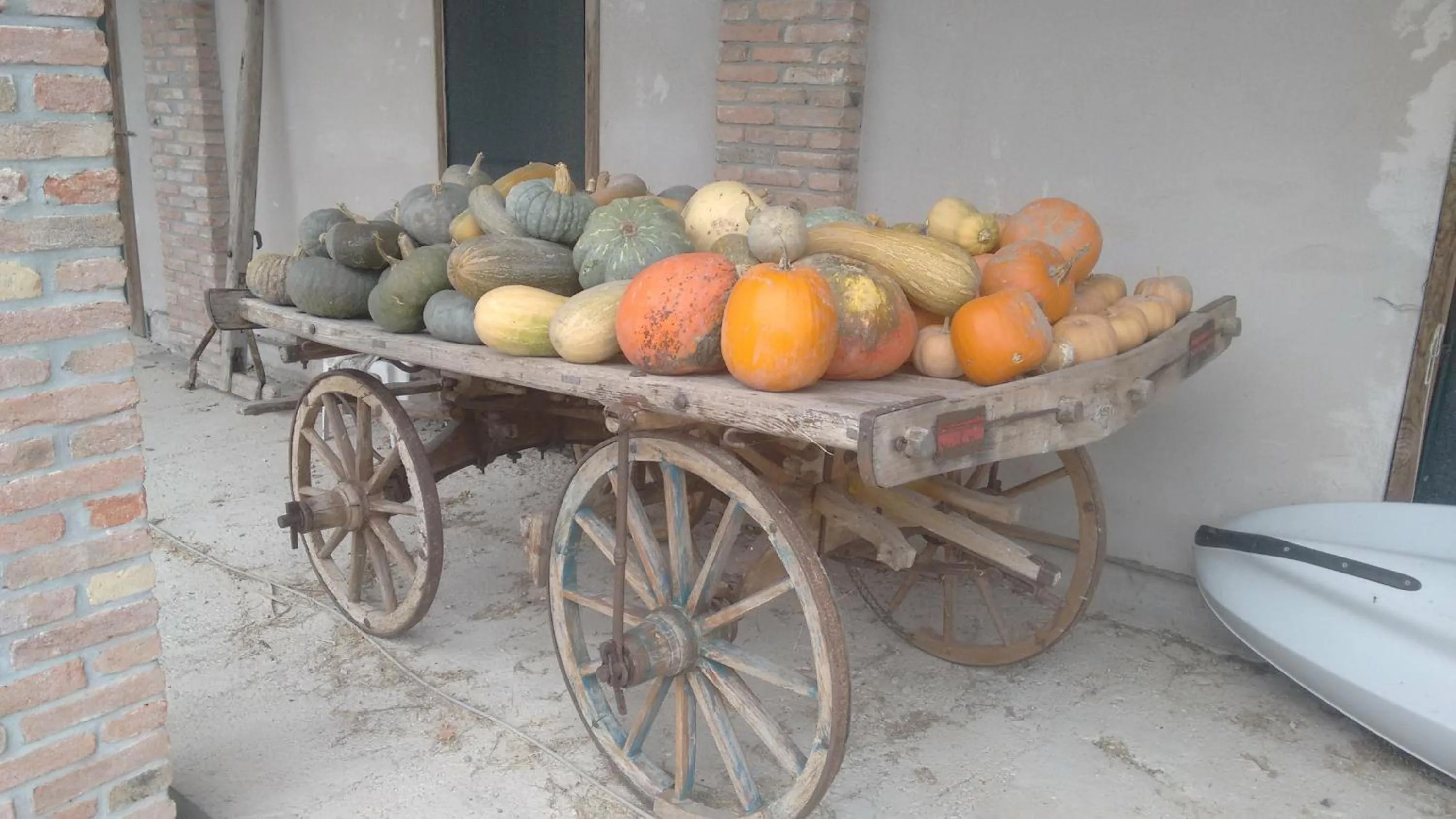 On site in Agriturismo La Barena
