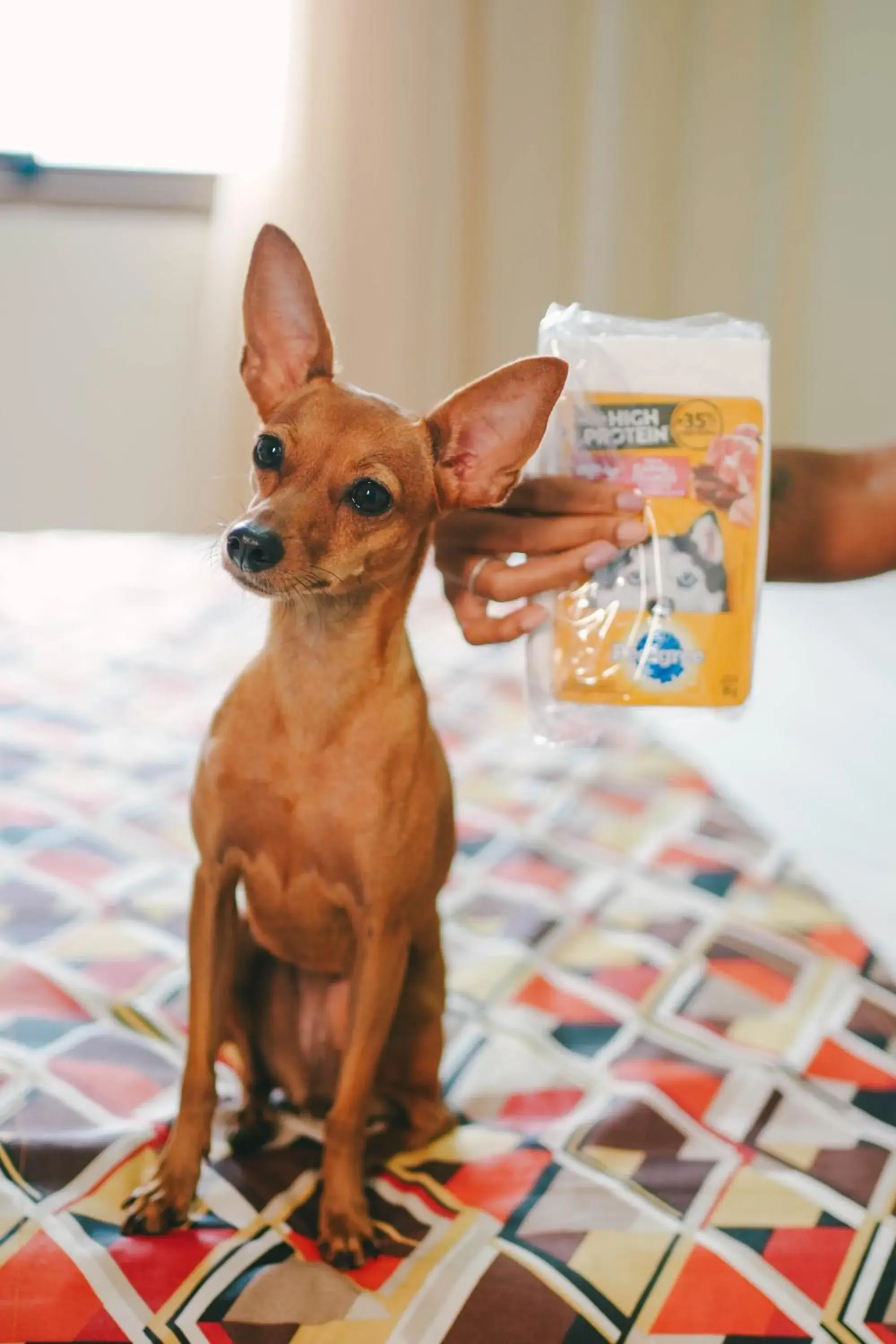 Bedroom in Soft Win Hotel São Luís Bedroom in Soft Win Hotel São Luís