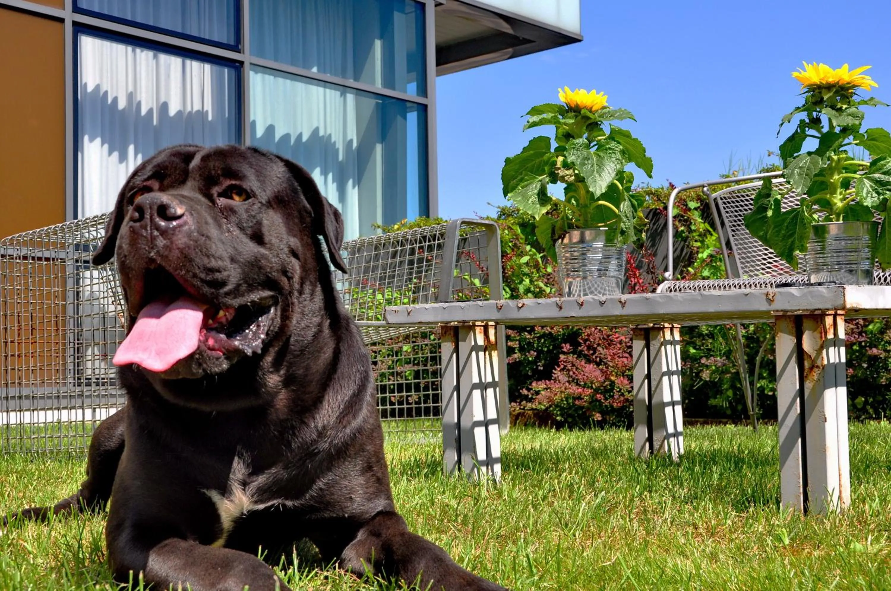 Day in Art Hotel Olympic