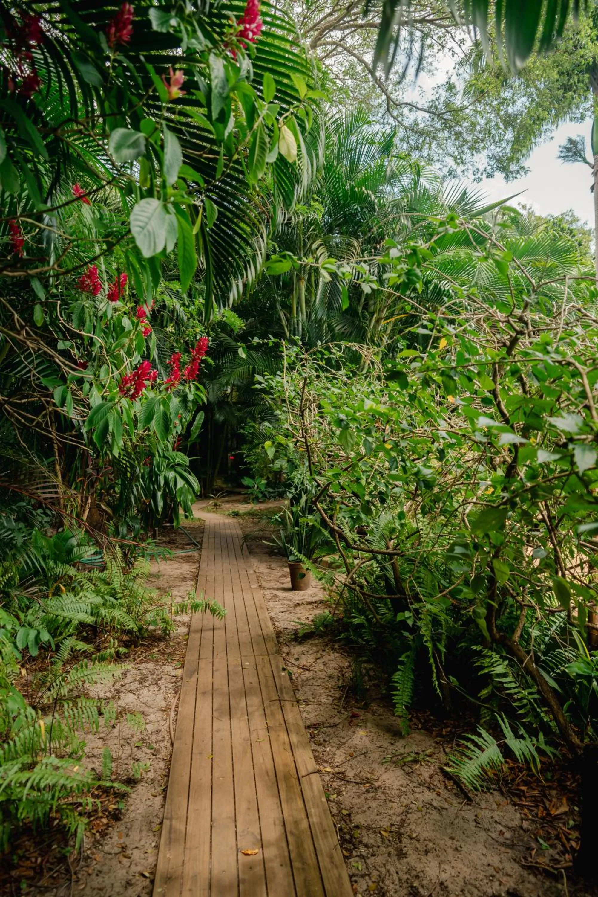 Garden in Recanto da Mata Pipa