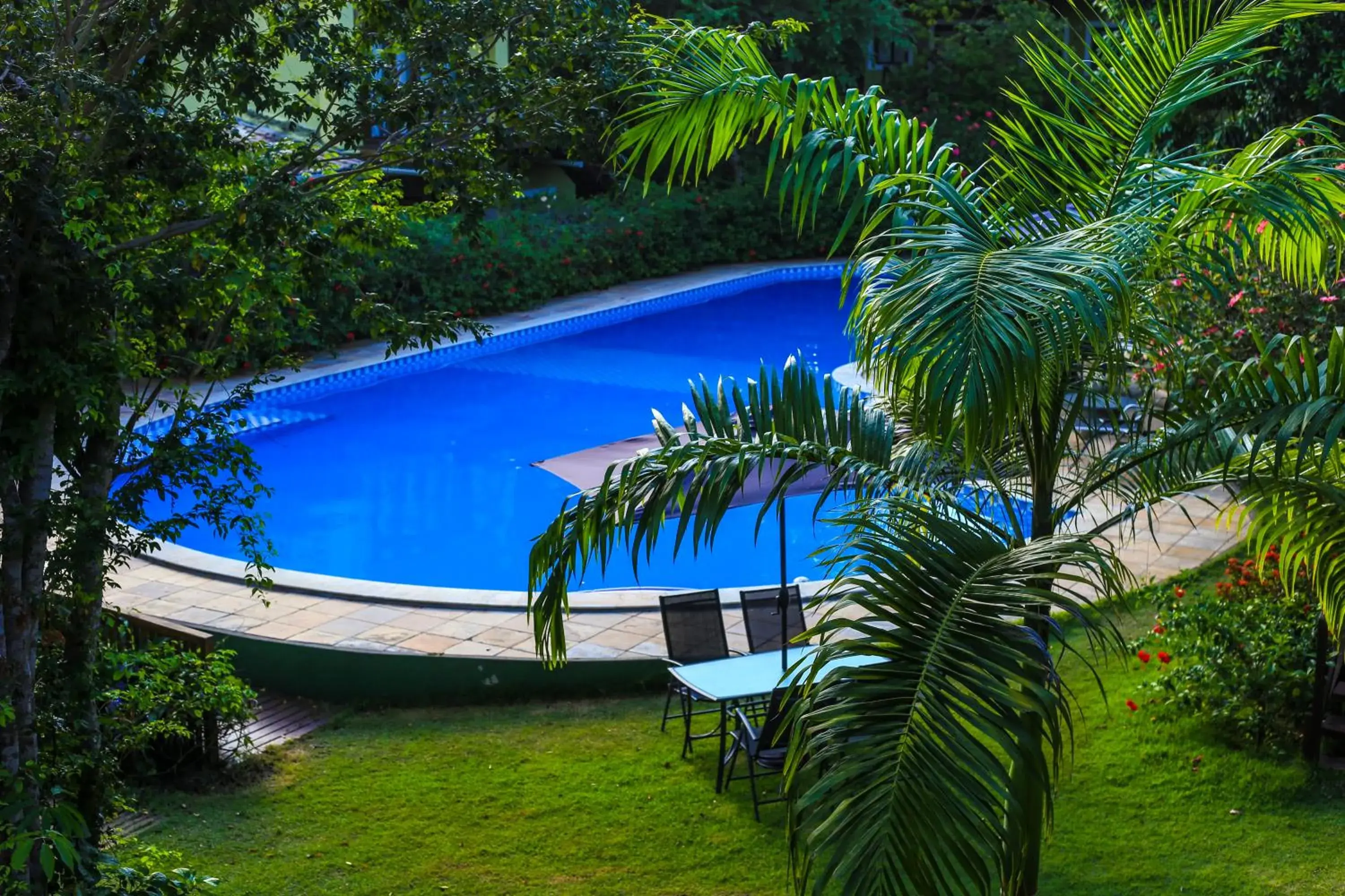 Pool view in Recanto da Mata Pipa Pool view in Recanto da Mata Pipa