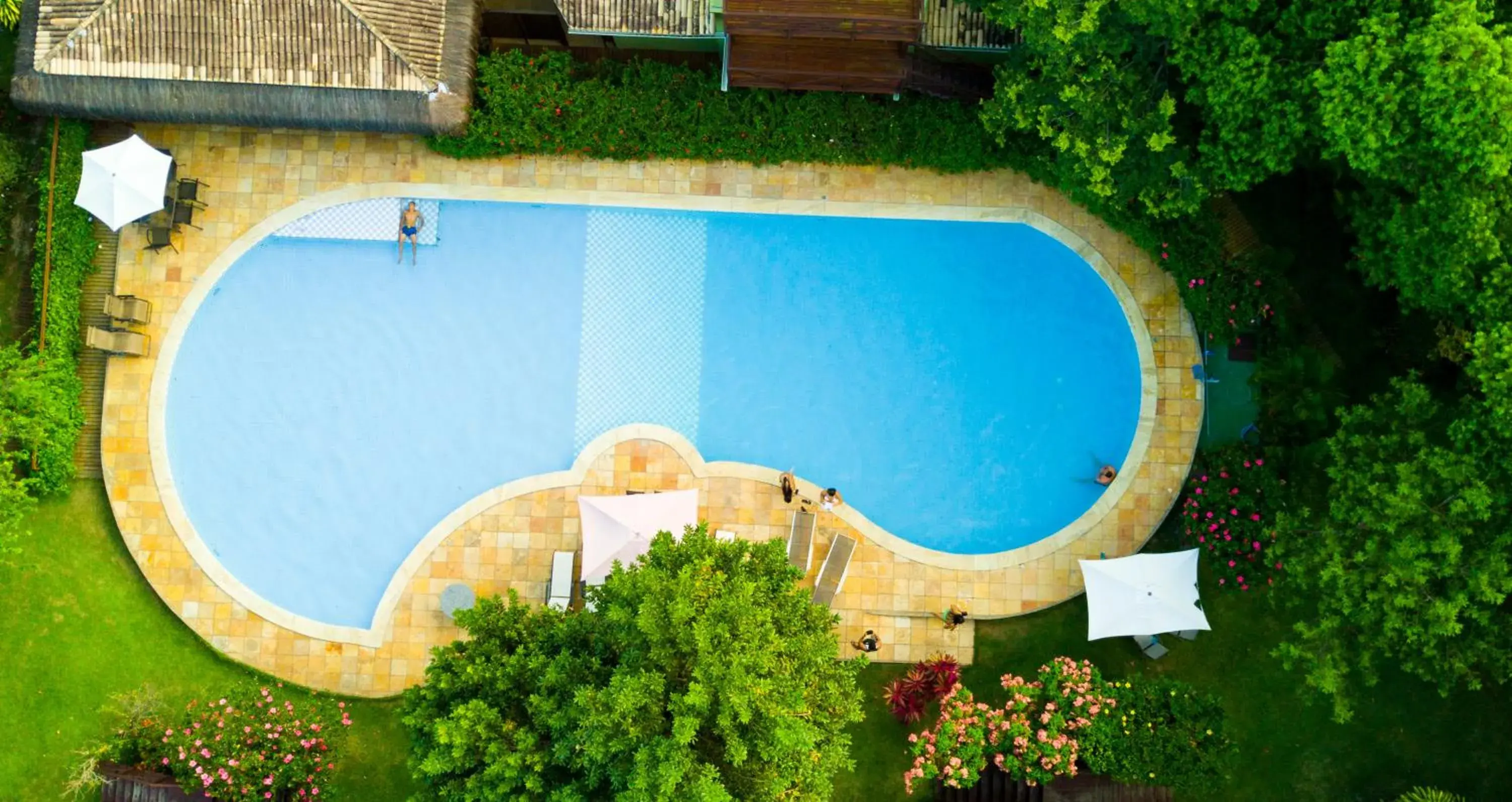 Bird's eye view in Recanto da Mata Pipa Bird's eye view in Recanto da Mata Pipa