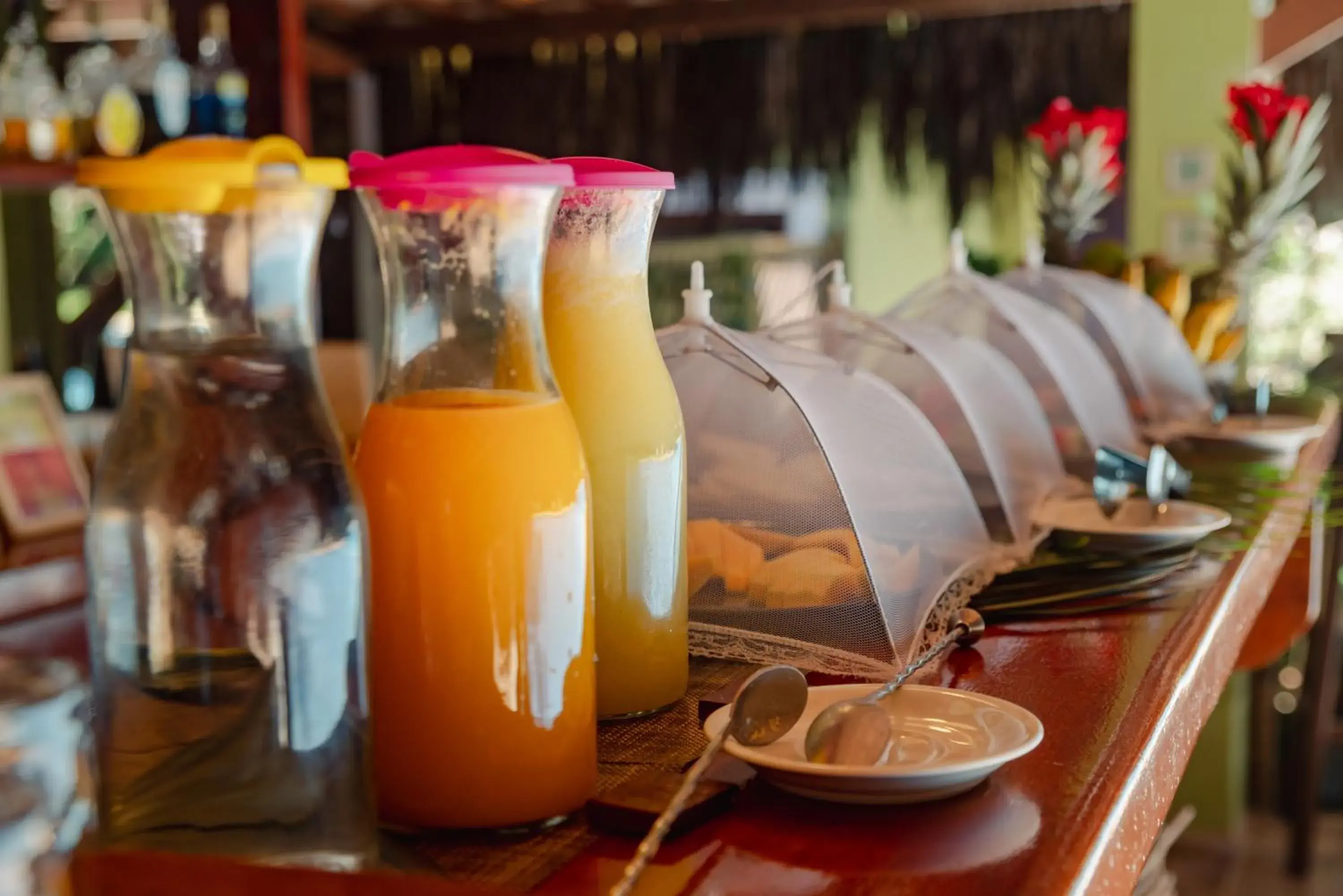 Restaurant/places to eat in Recanto da Mata Pipa Restaurant/places to eat in Recanto da Mata Pipa