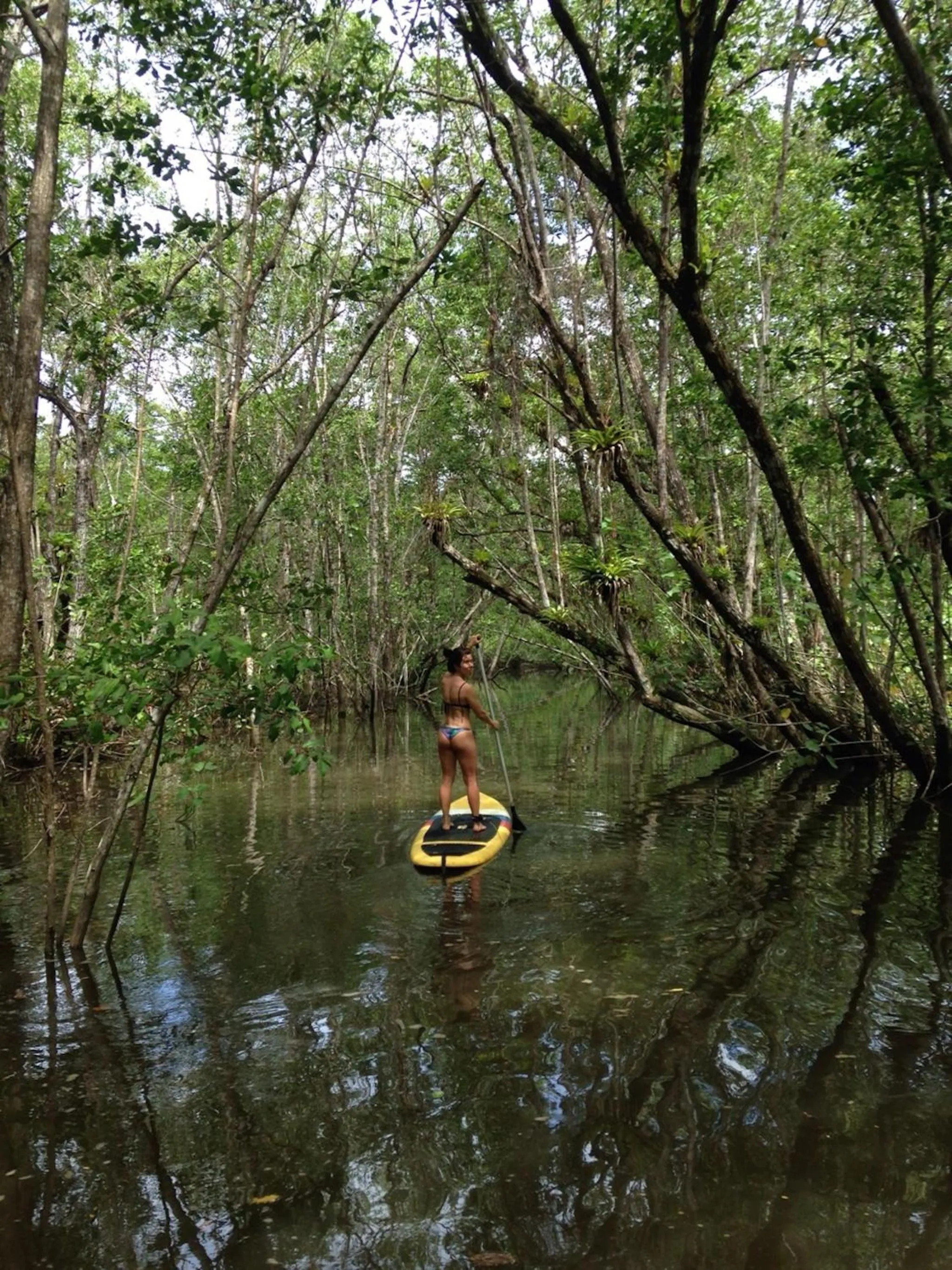 Natural landscape in Barracuda Boutique
