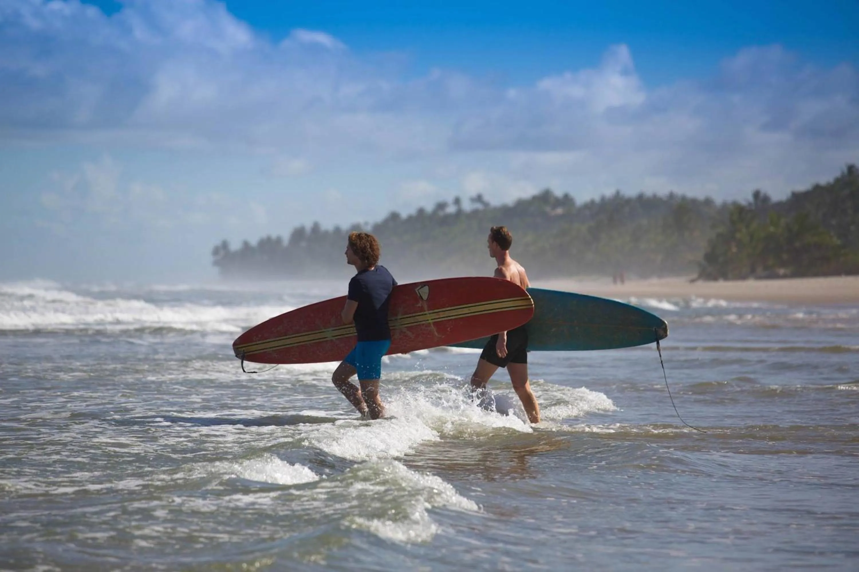 Natural landscape in Barracuda Boutique