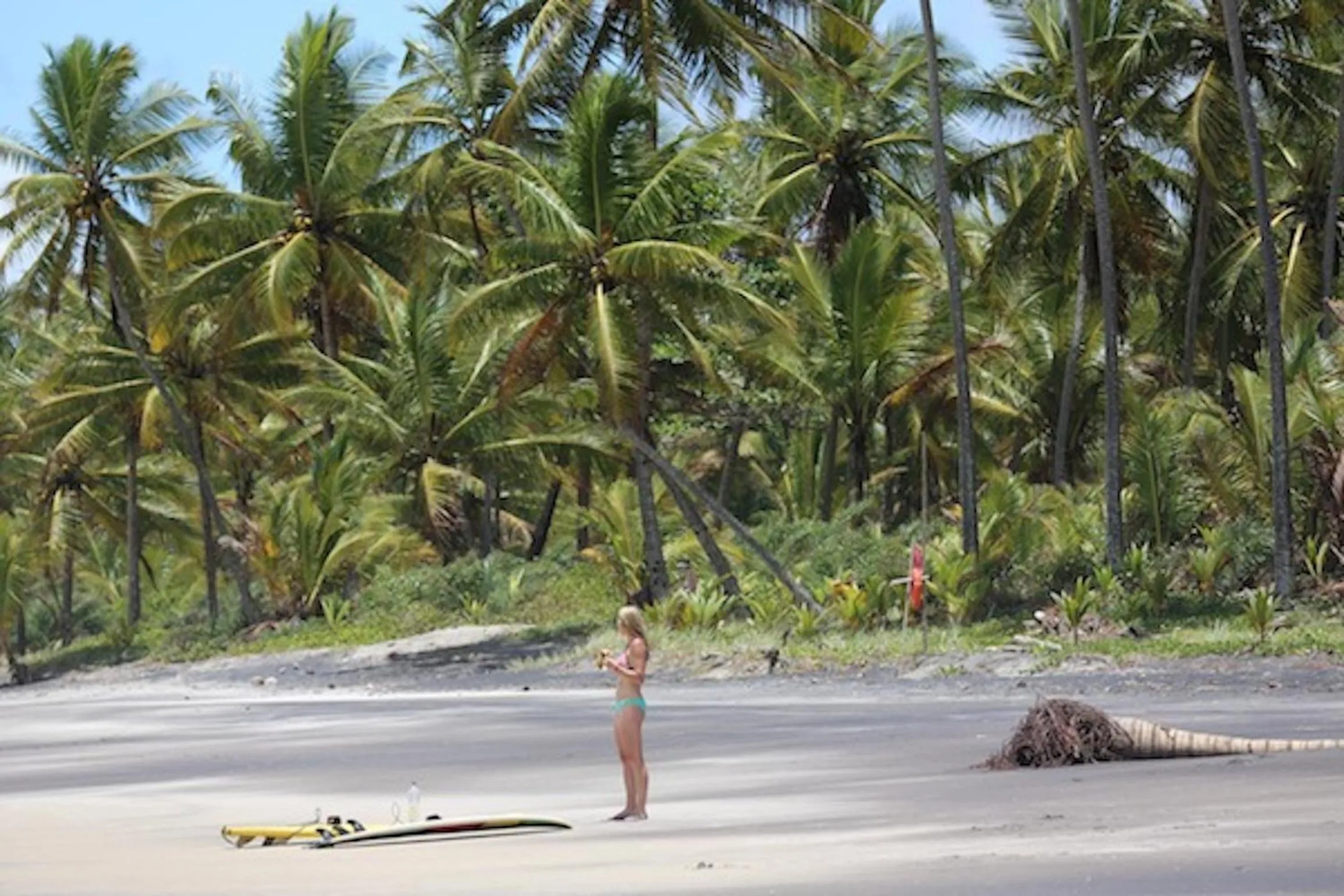 Natural landscape in Barracuda Boutique