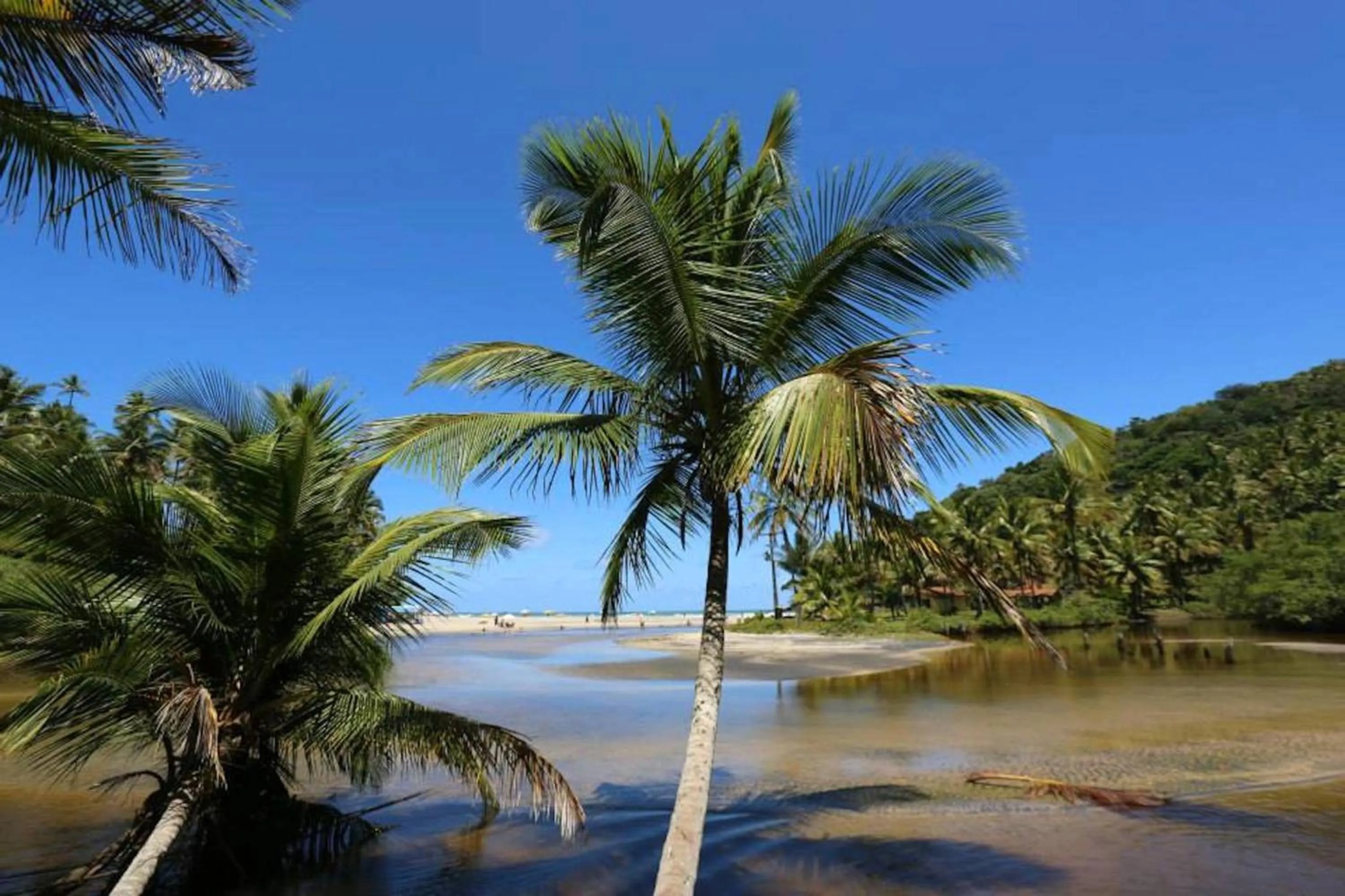 Natural landscape in Barracuda Boutique