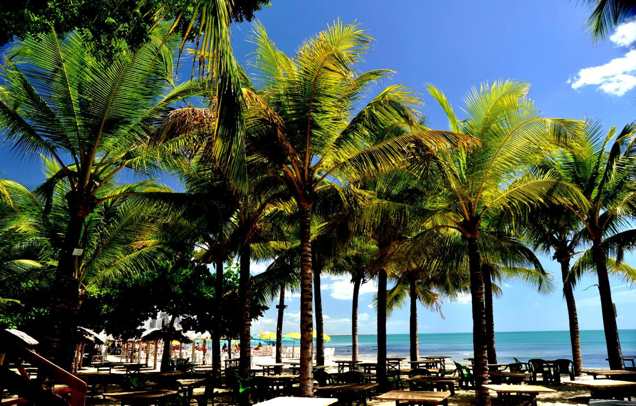 Facade/entrance in Seaflats - Meireles - Villa Costeira