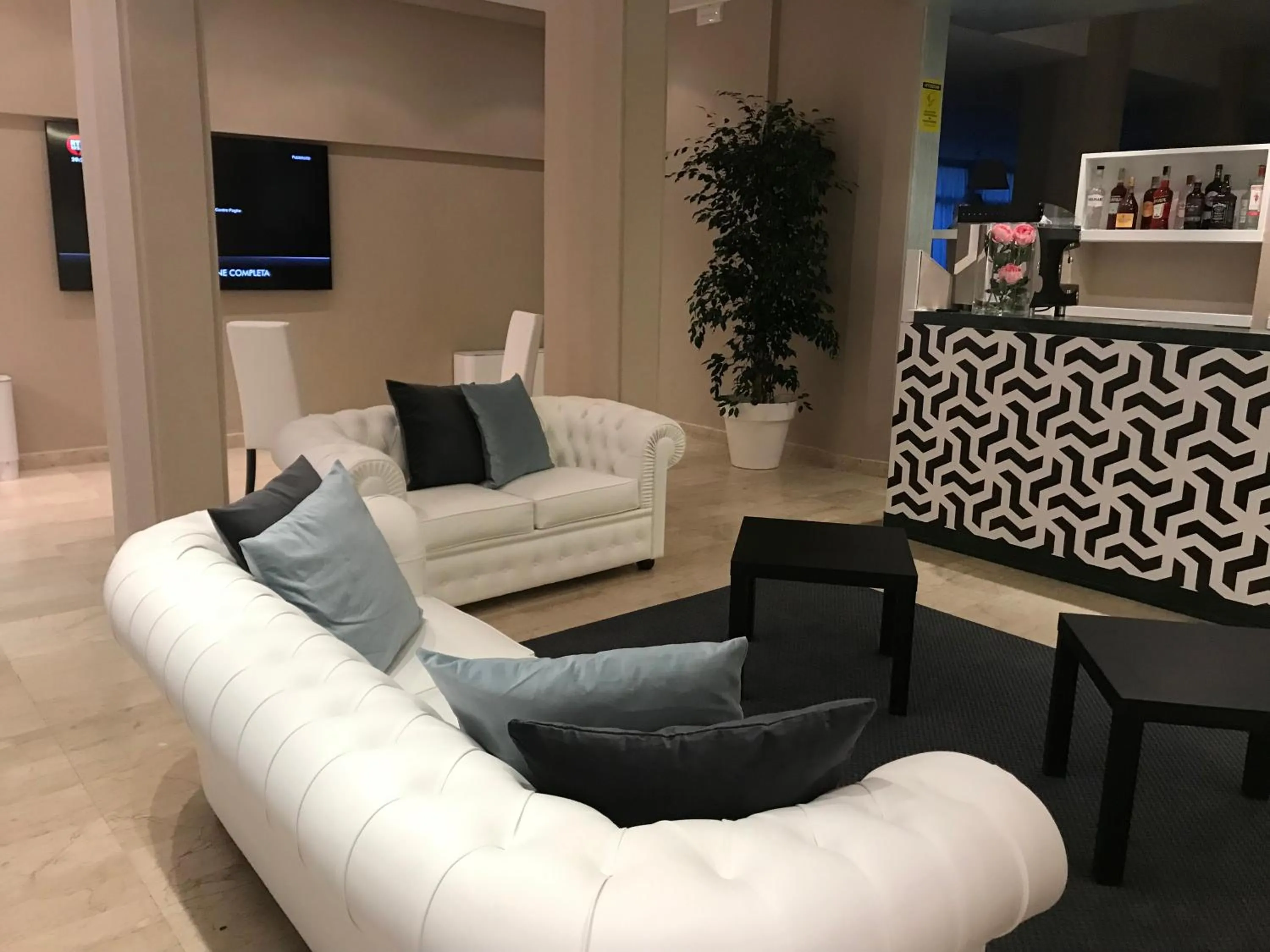 Communal lounge/ TV room in Hotel Airone