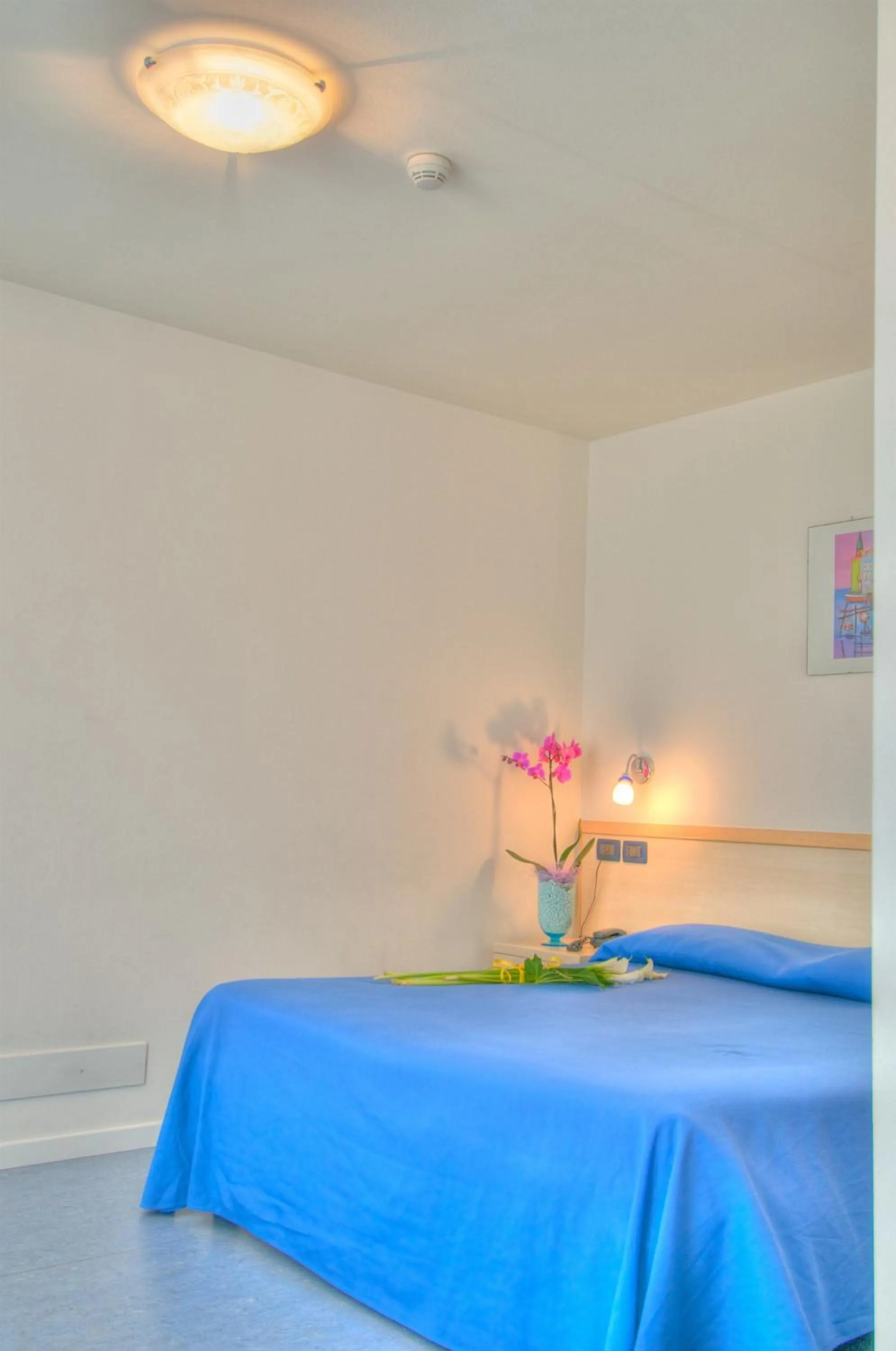 Bed in Hotel Minerva