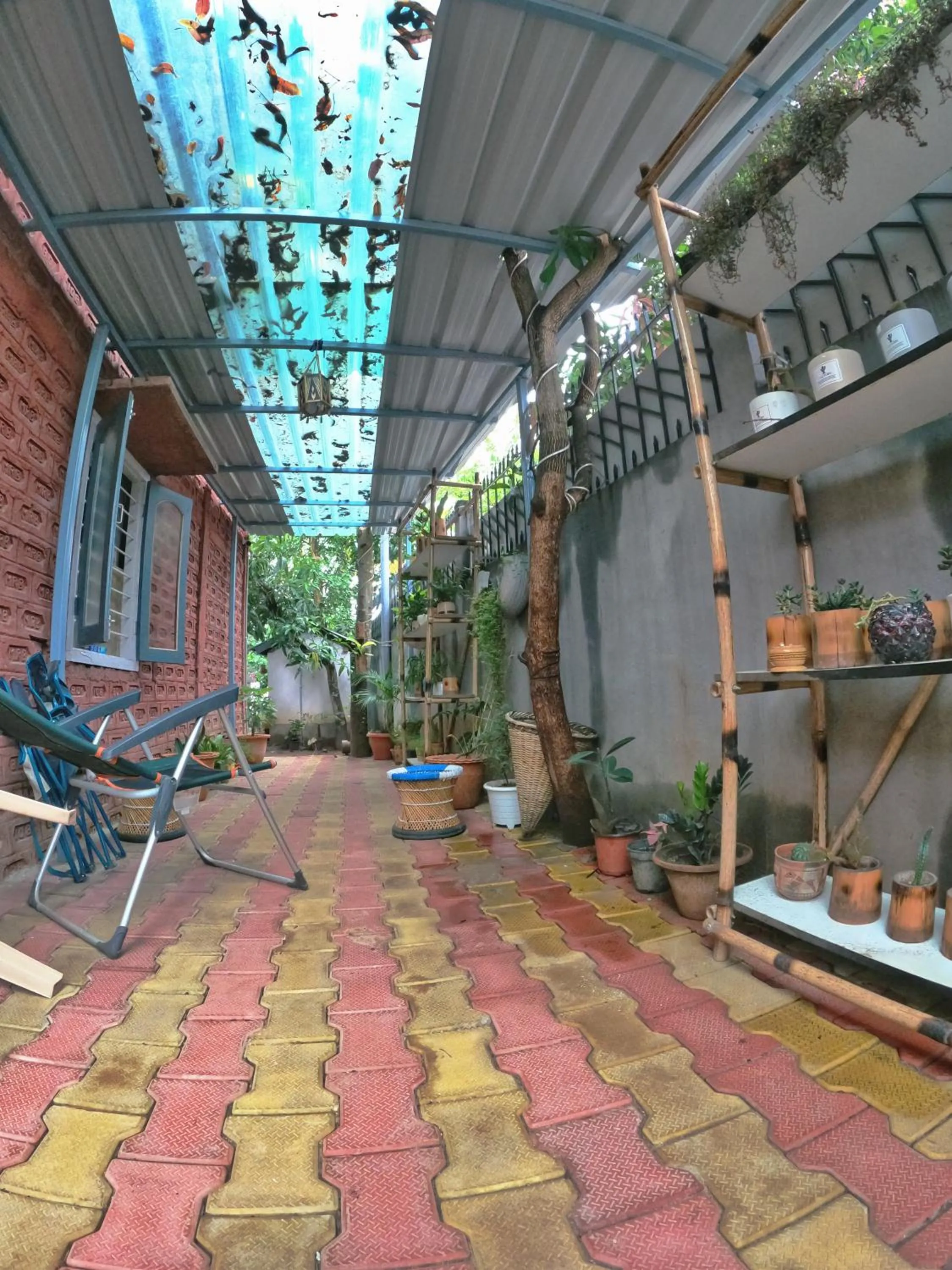 Property building in Stargaze Backpackers Hostel