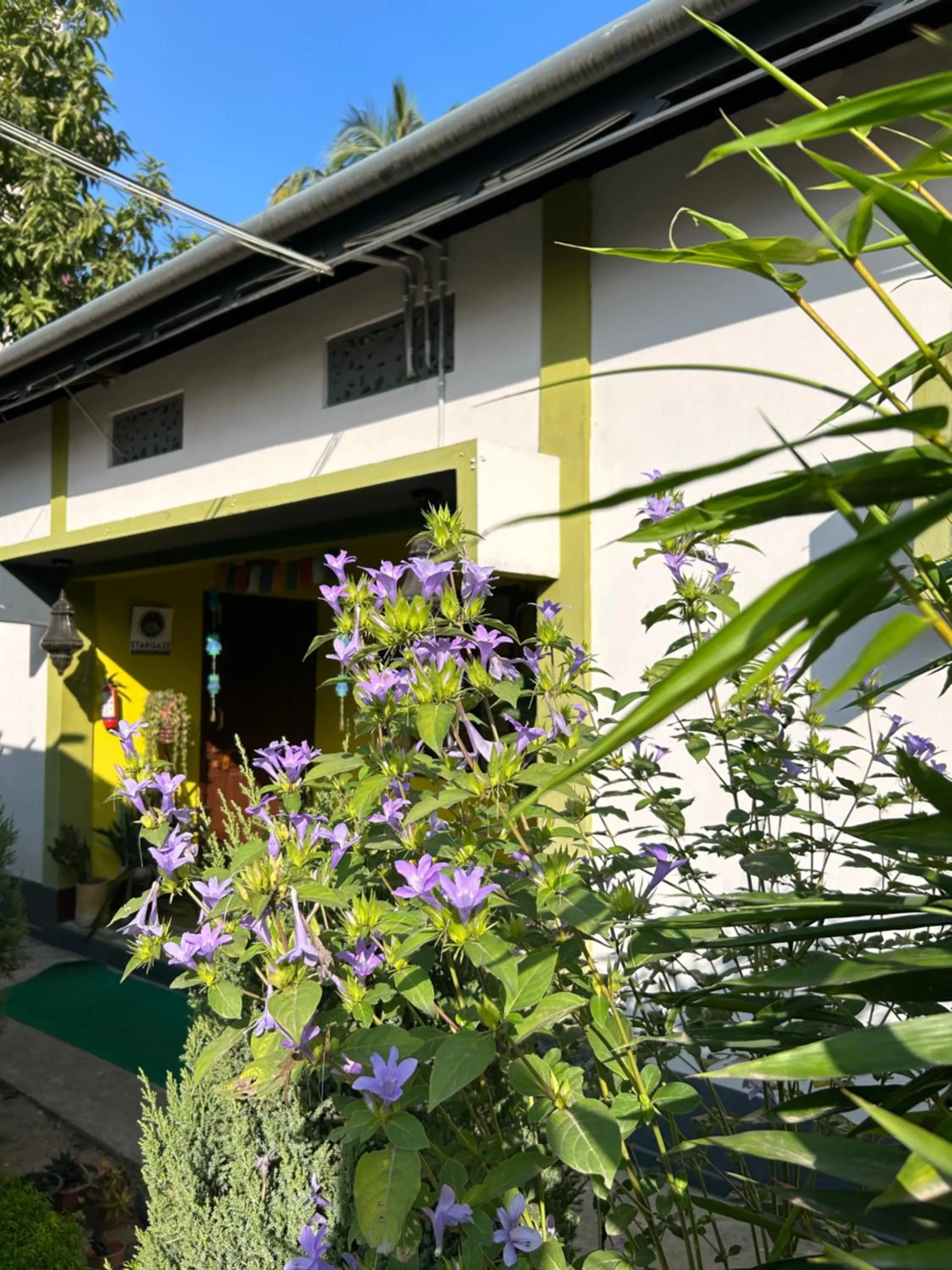 Stargaze Backpackers Hostel