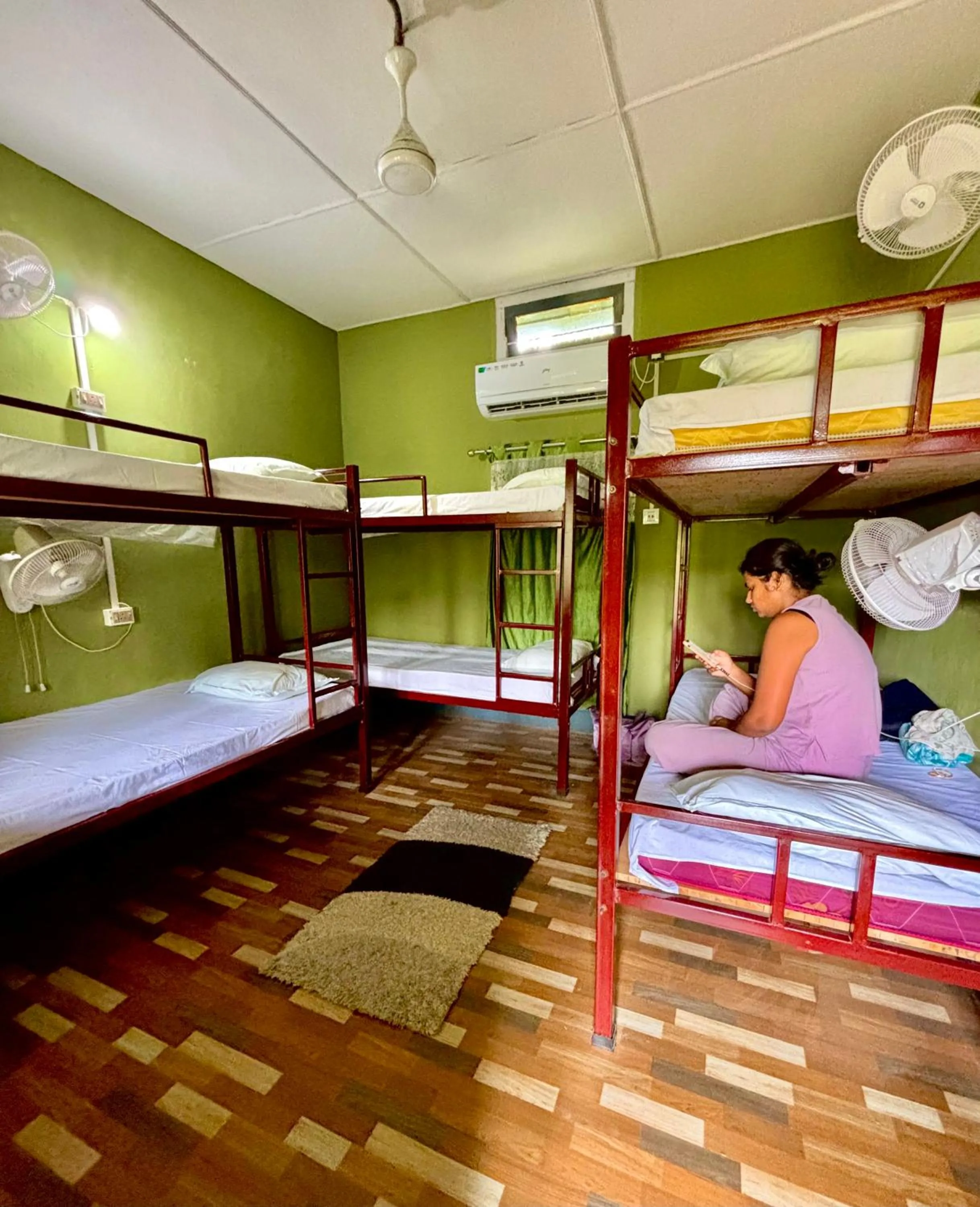 Bed in Stargaze Backpackers Hostel