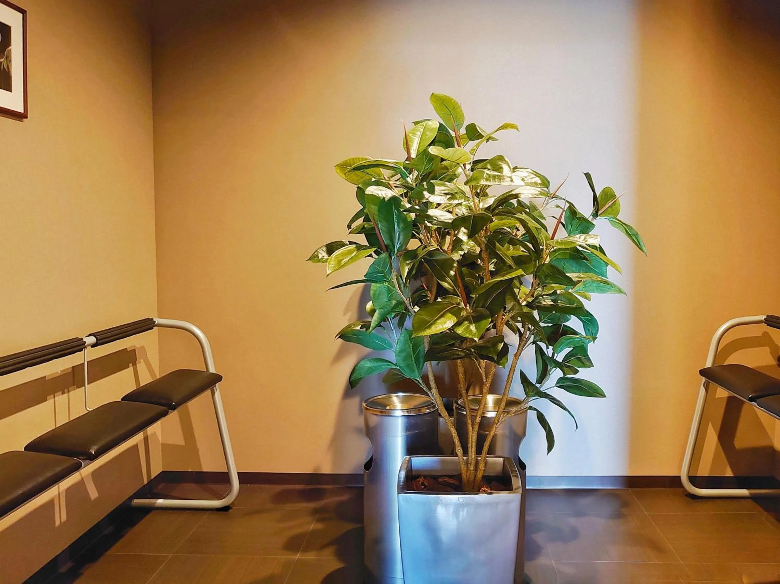 Area and facilities in Takaoka Manten Hotel Ekimae