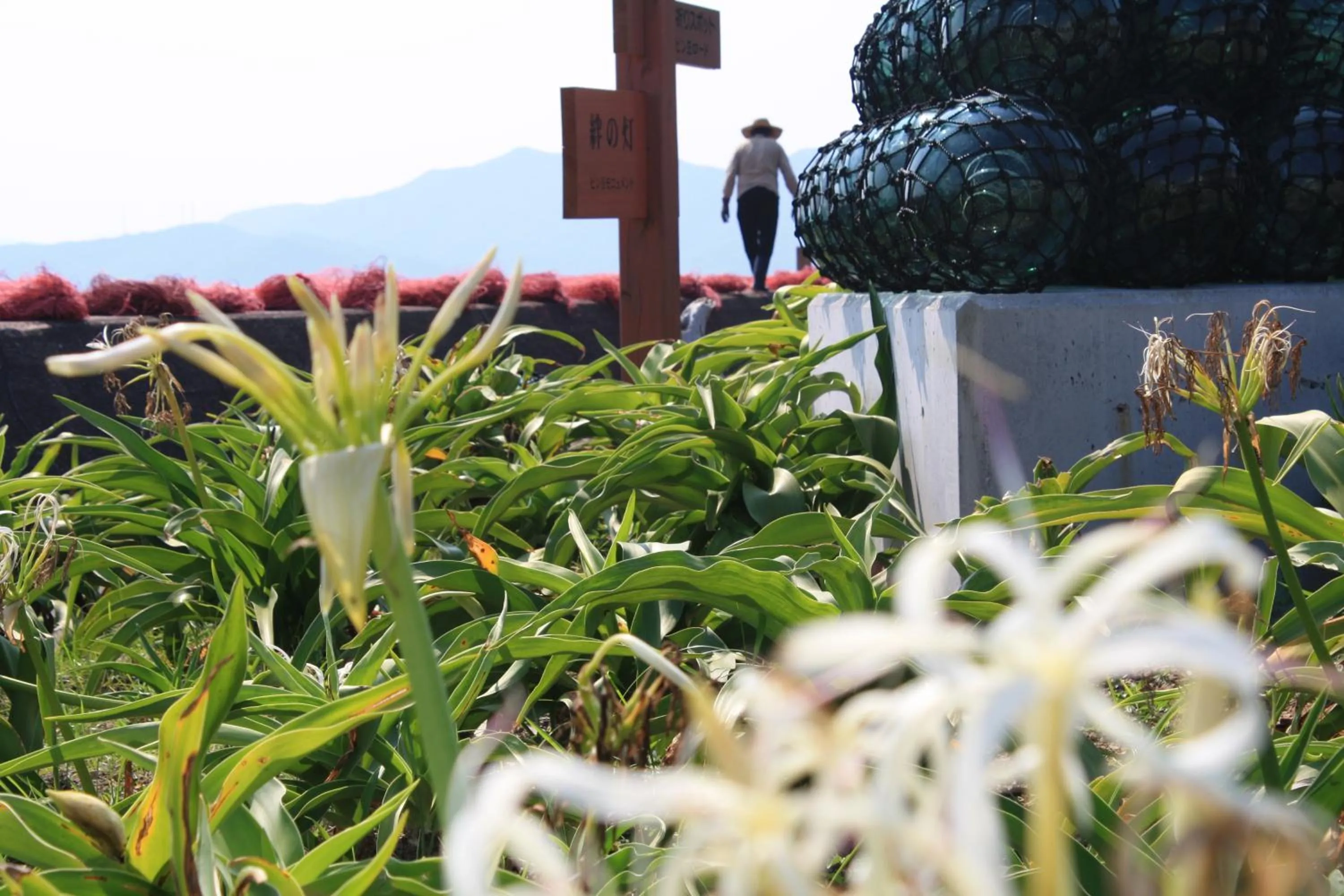 Day in Tabinoyado Ushionoakari Geiboso