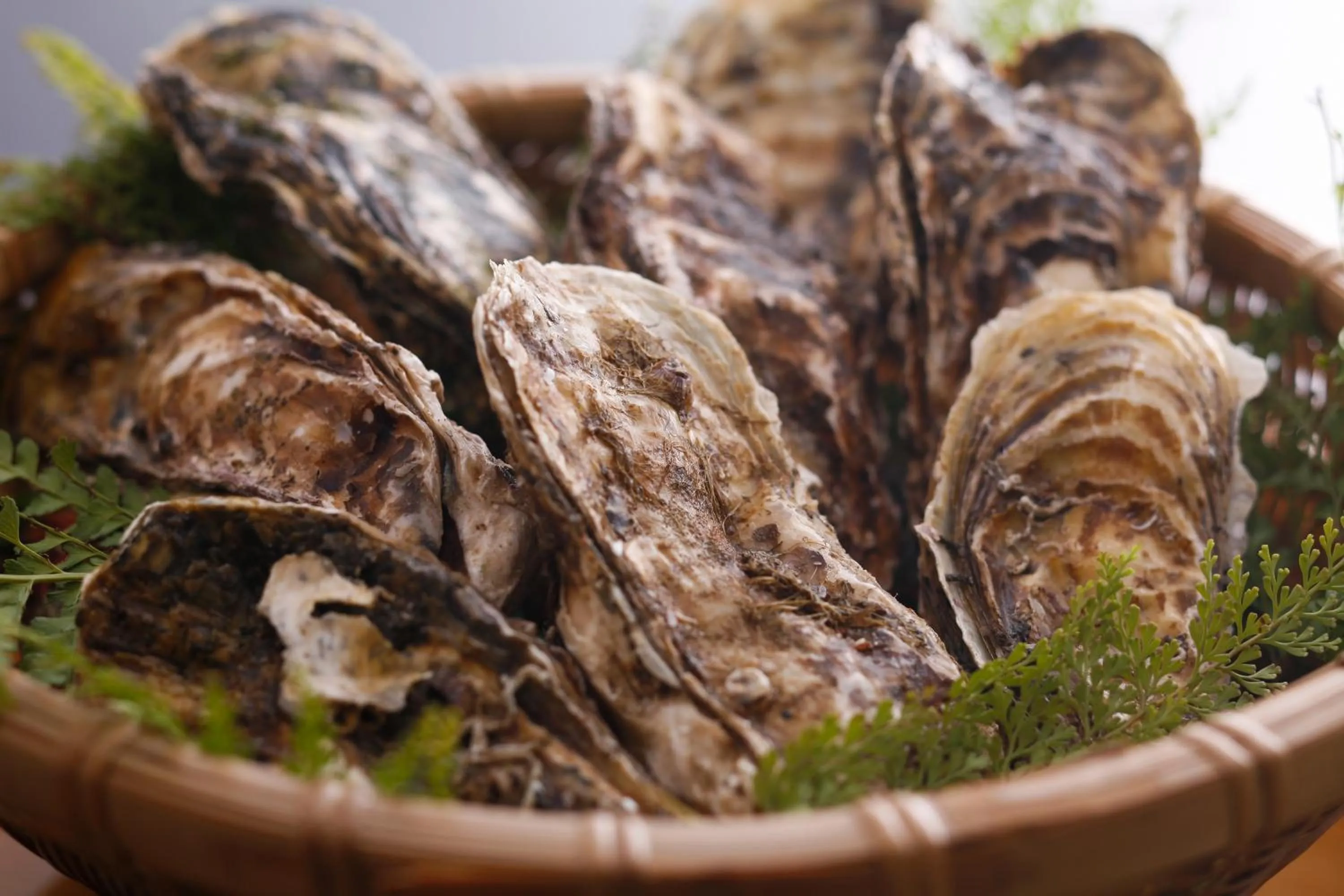 Tabinoyado Ushionoakari Geiboso