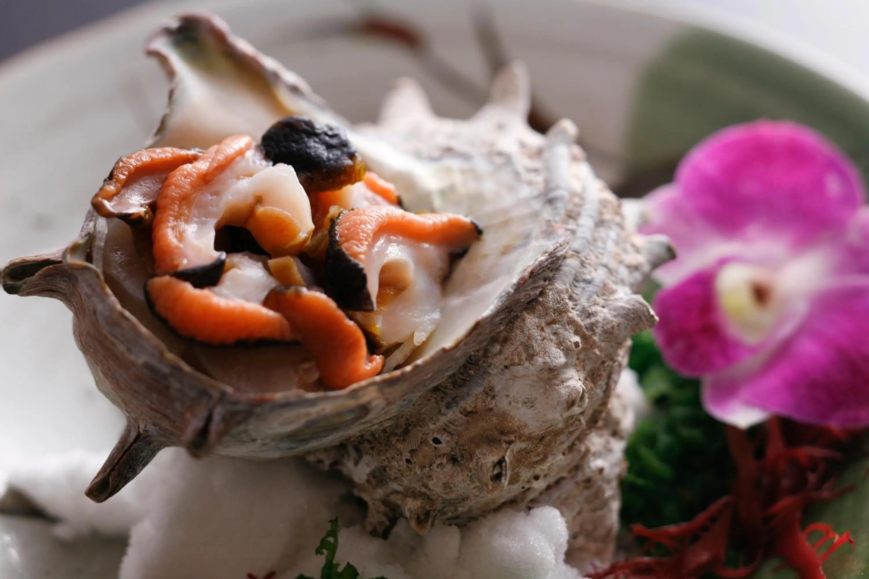 Tabinoyado Ushionoakari Geiboso