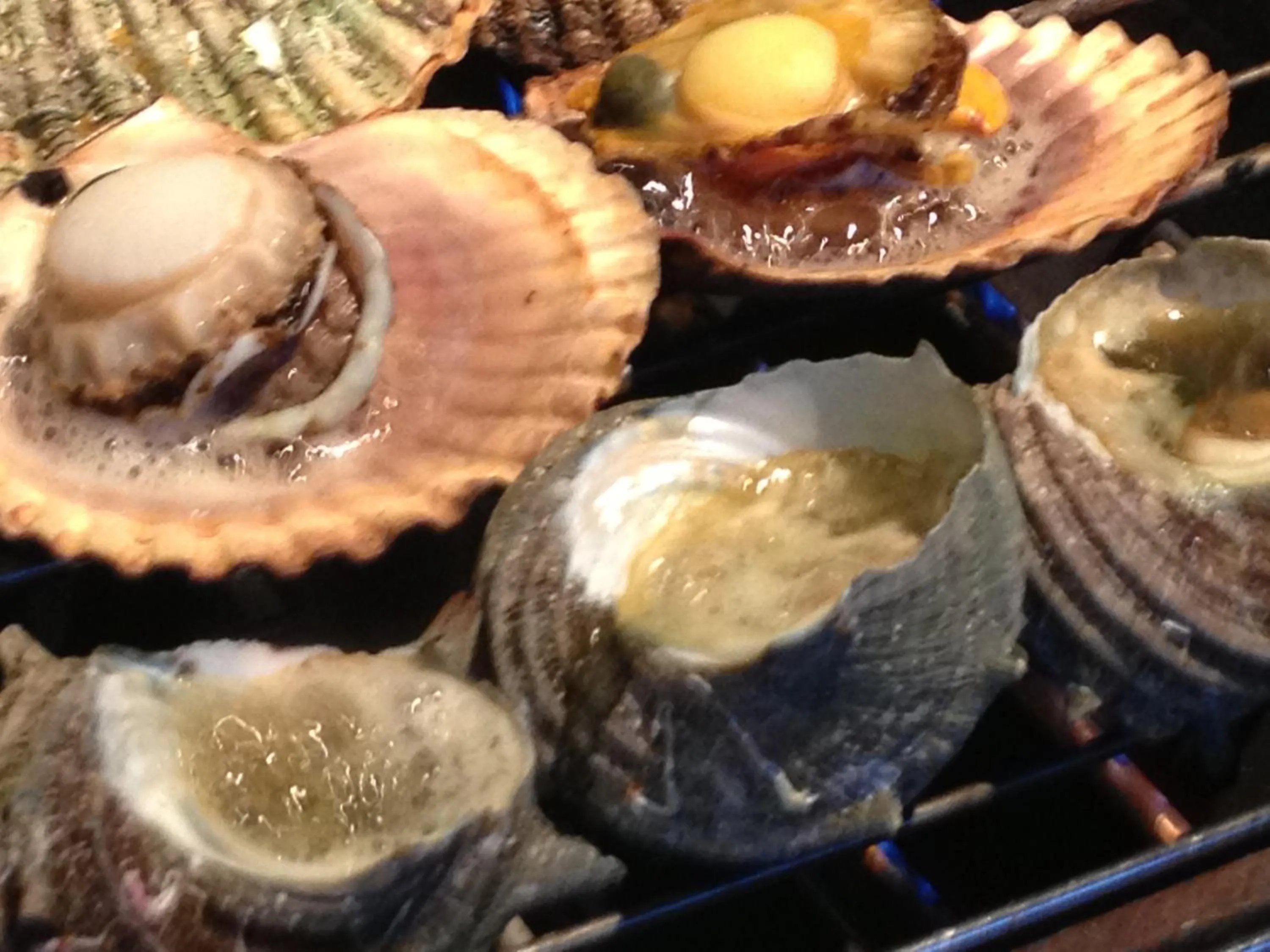 Tabinoyado Ushionoakari Geiboso