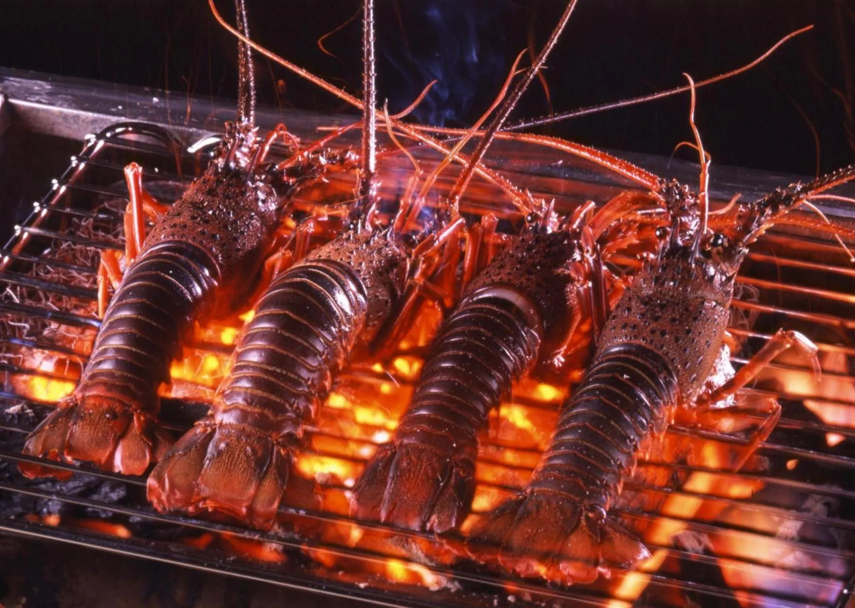 Tabinoyado Ushionoakari Geiboso