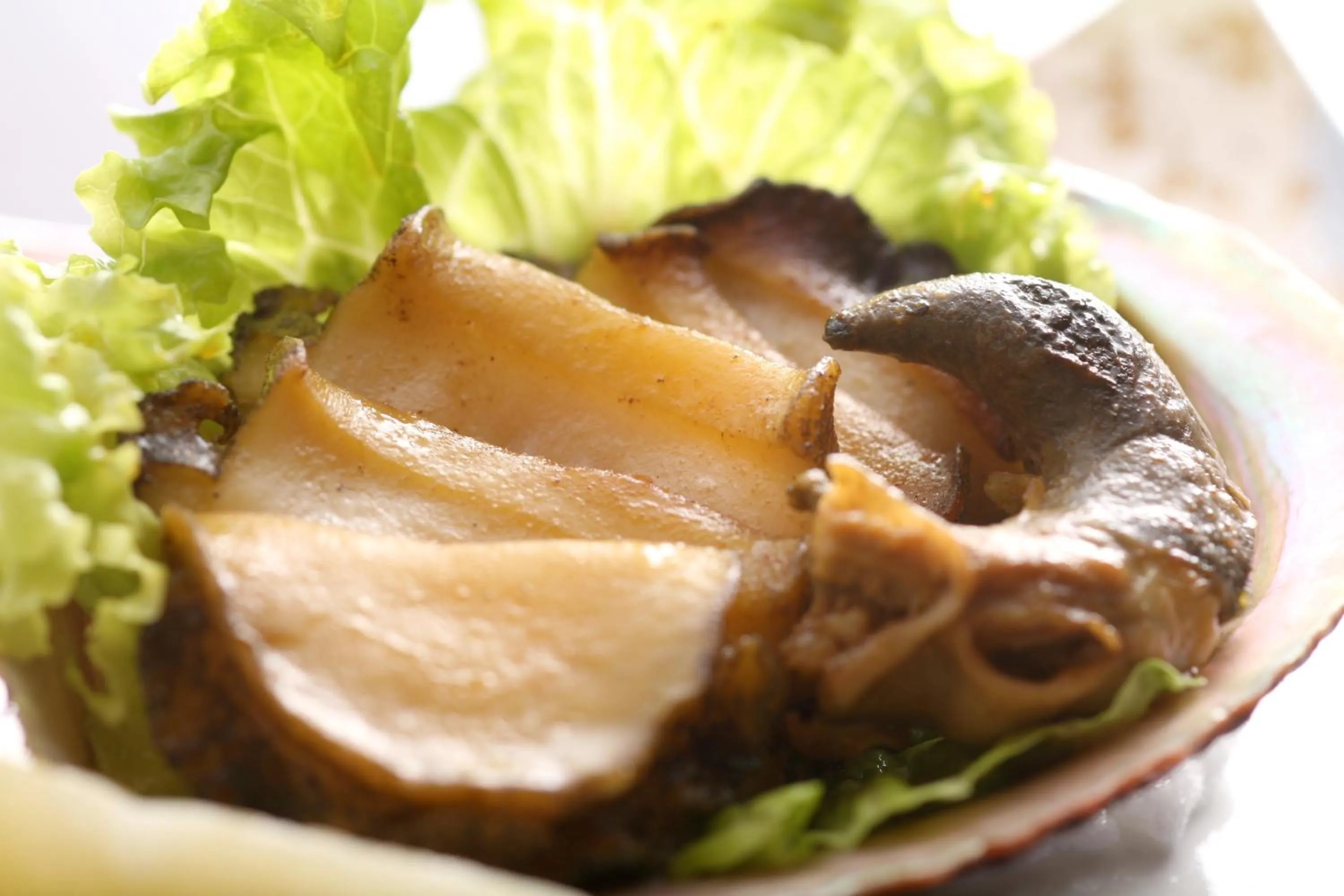 Tabinoyado Ushionoakari Geiboso