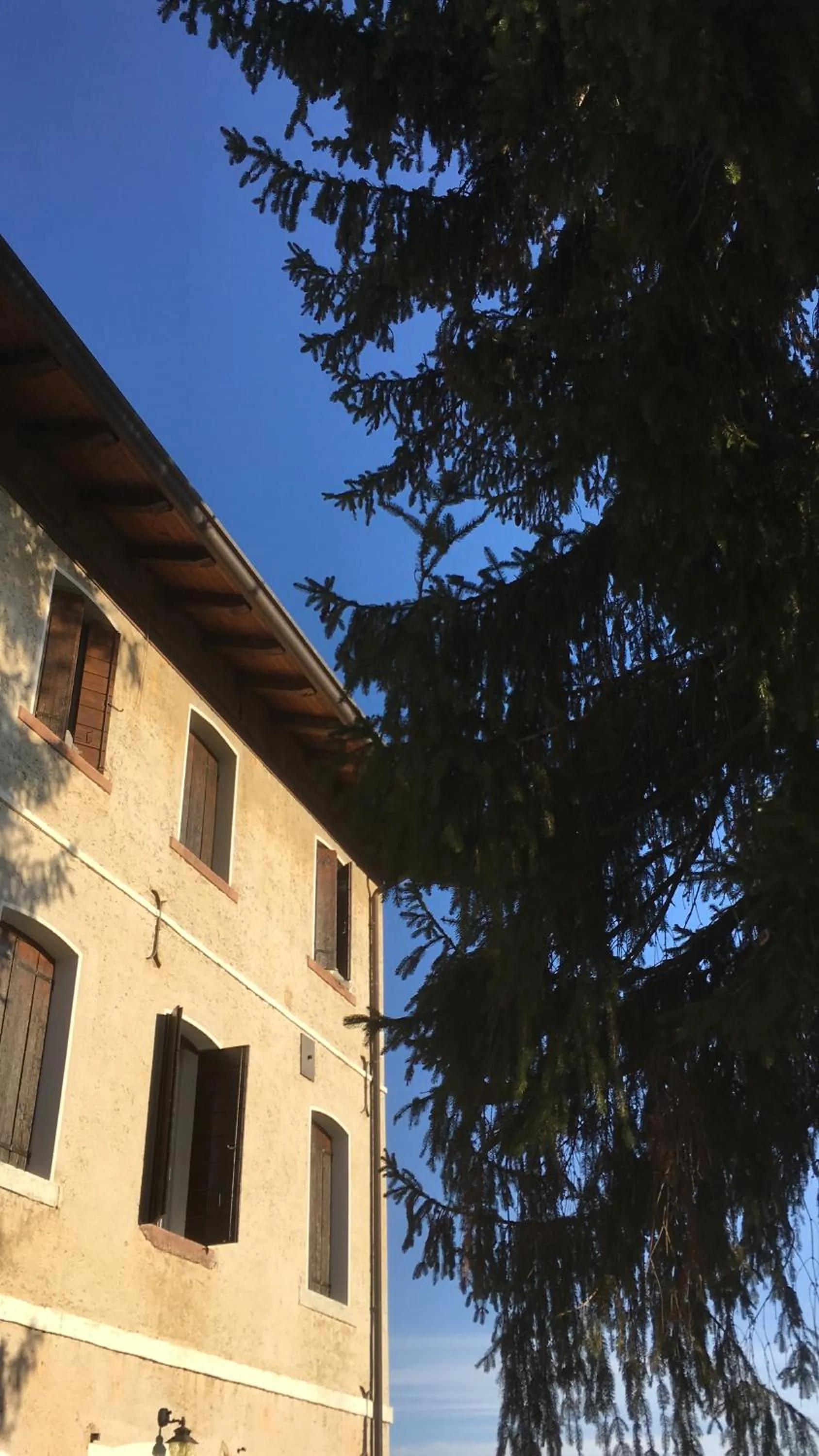 B&B Ernestine Family Home