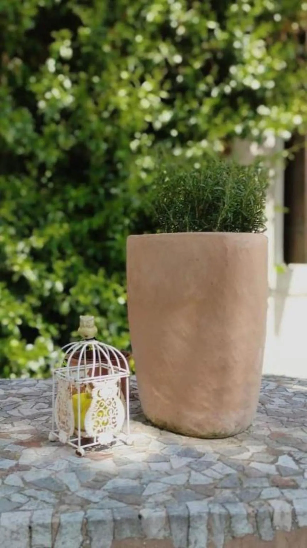 B&B Ernestine Family Home