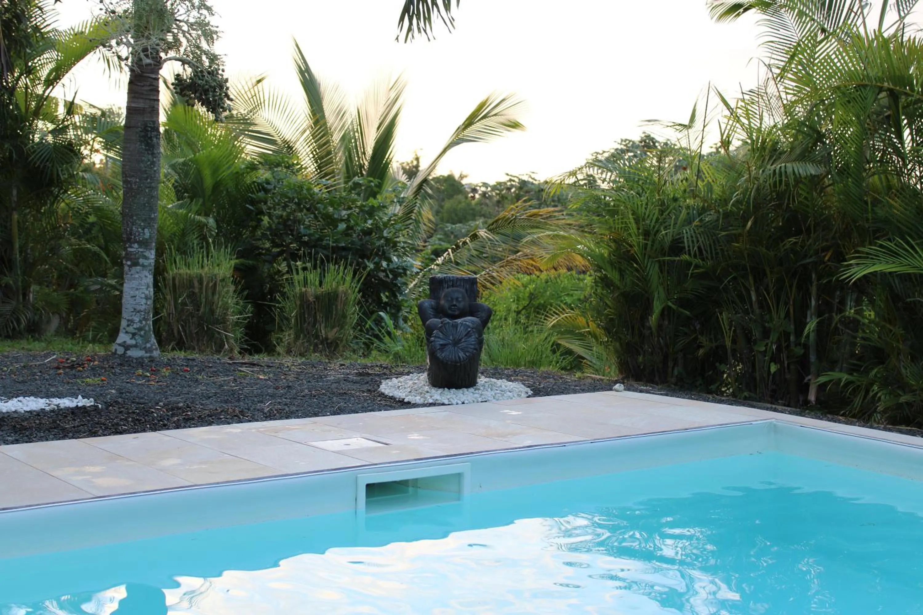 Swimming pool in Villa Écrin de Nature