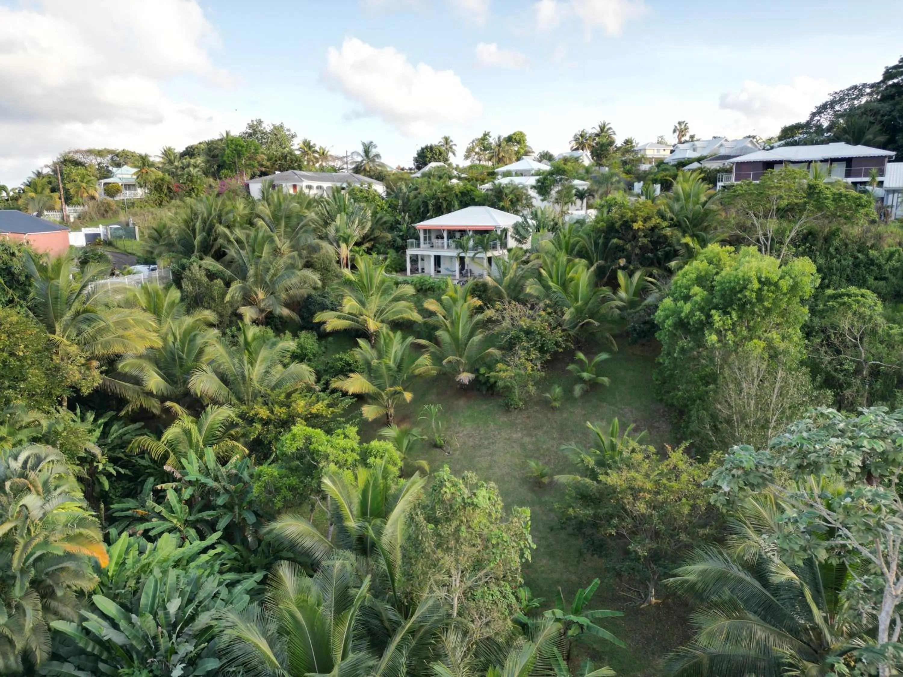 Garden in Villa Écrin de Nature