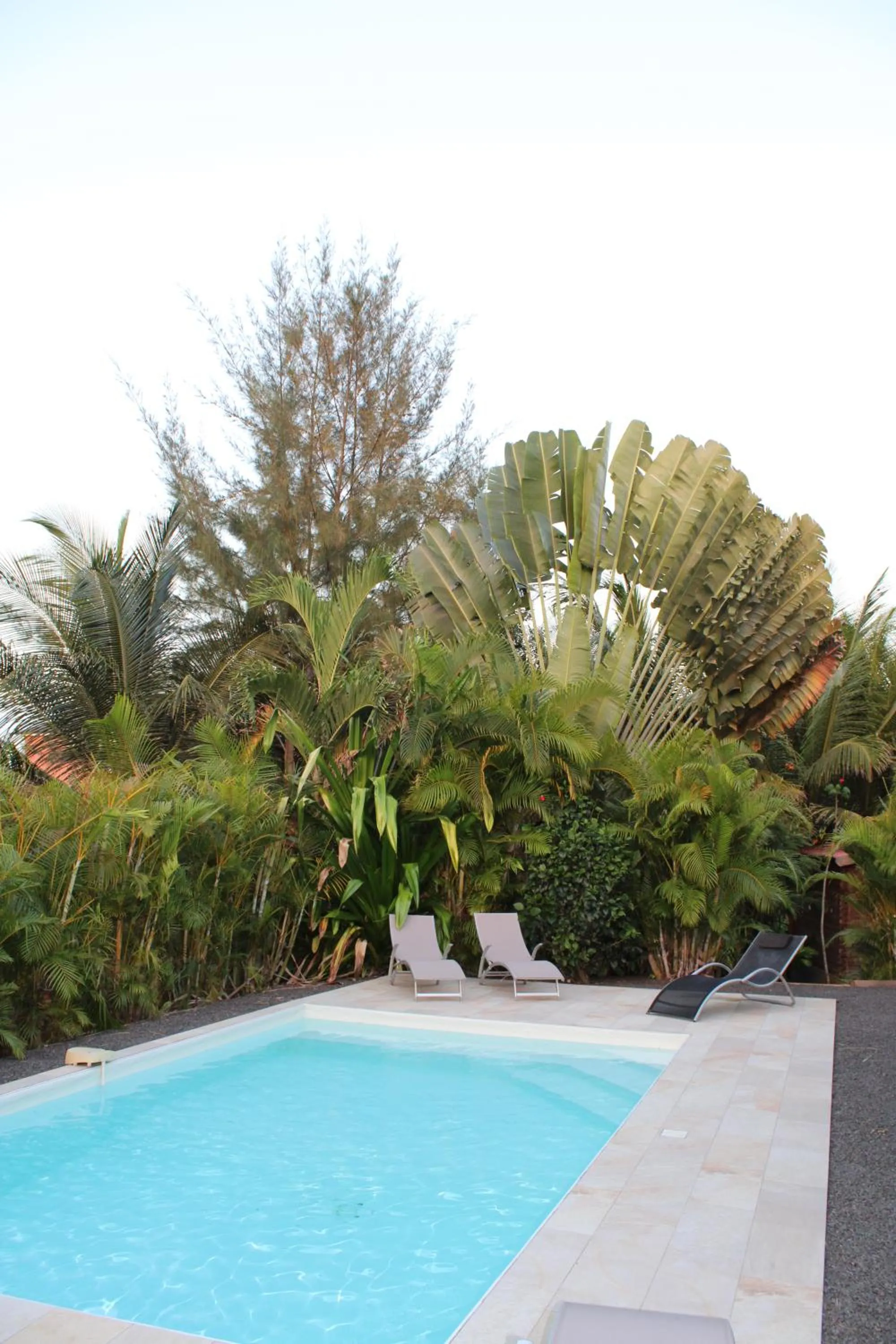 Pool view in Villa Écrin de Nature