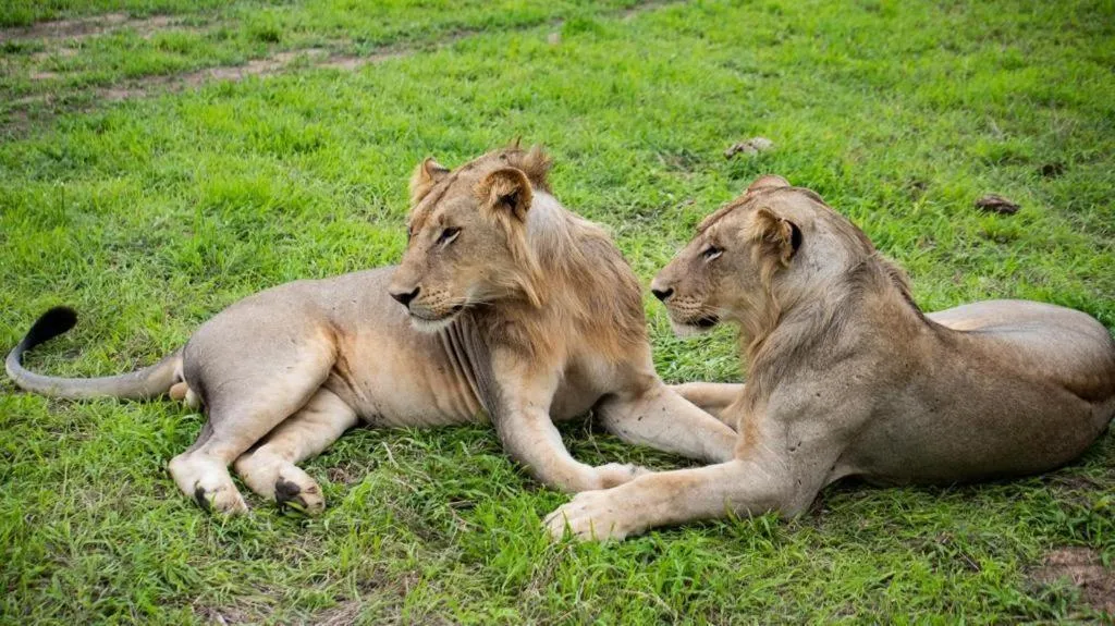 Beach in Eden Paradise