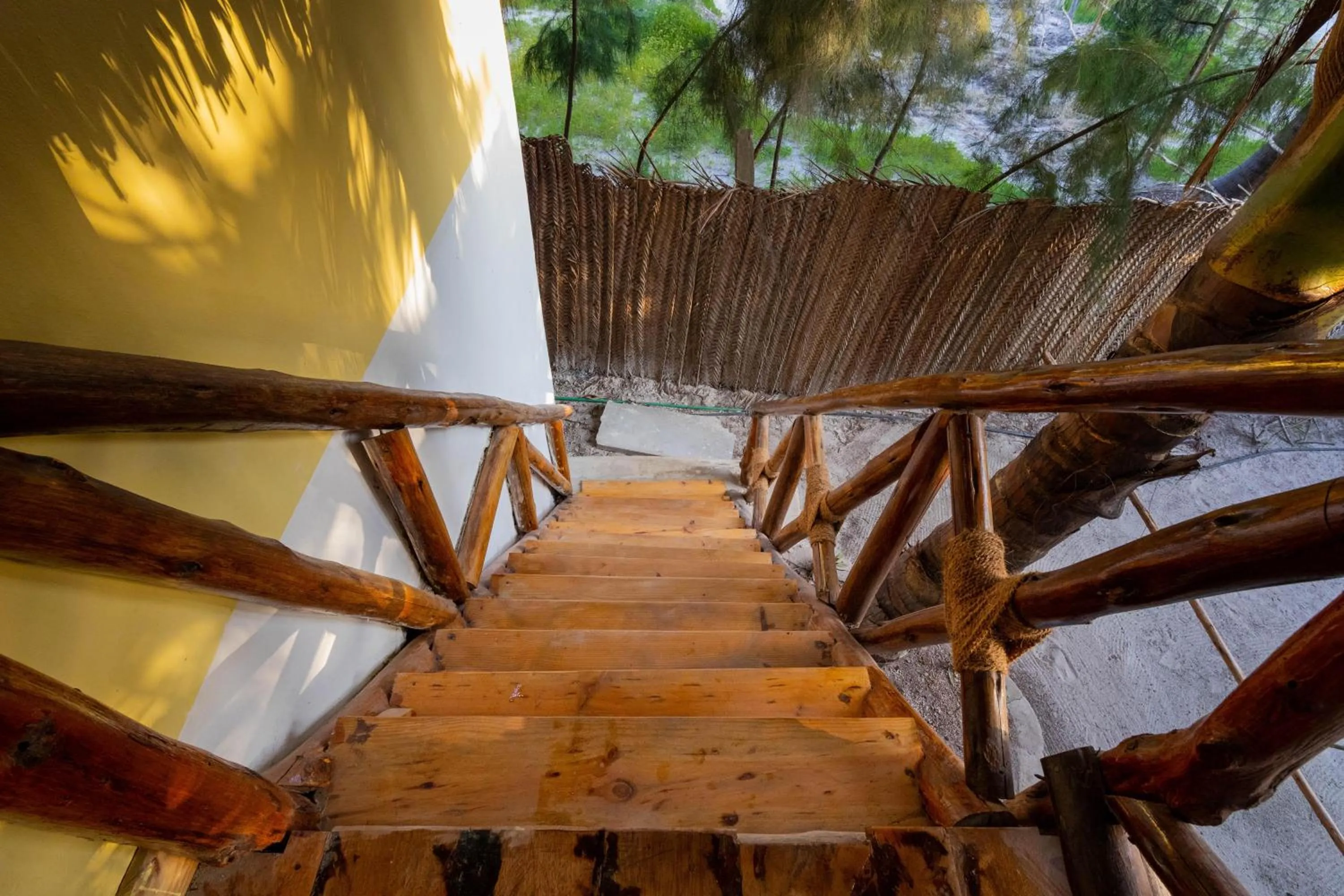 Bird's eye view in Eden Paradise