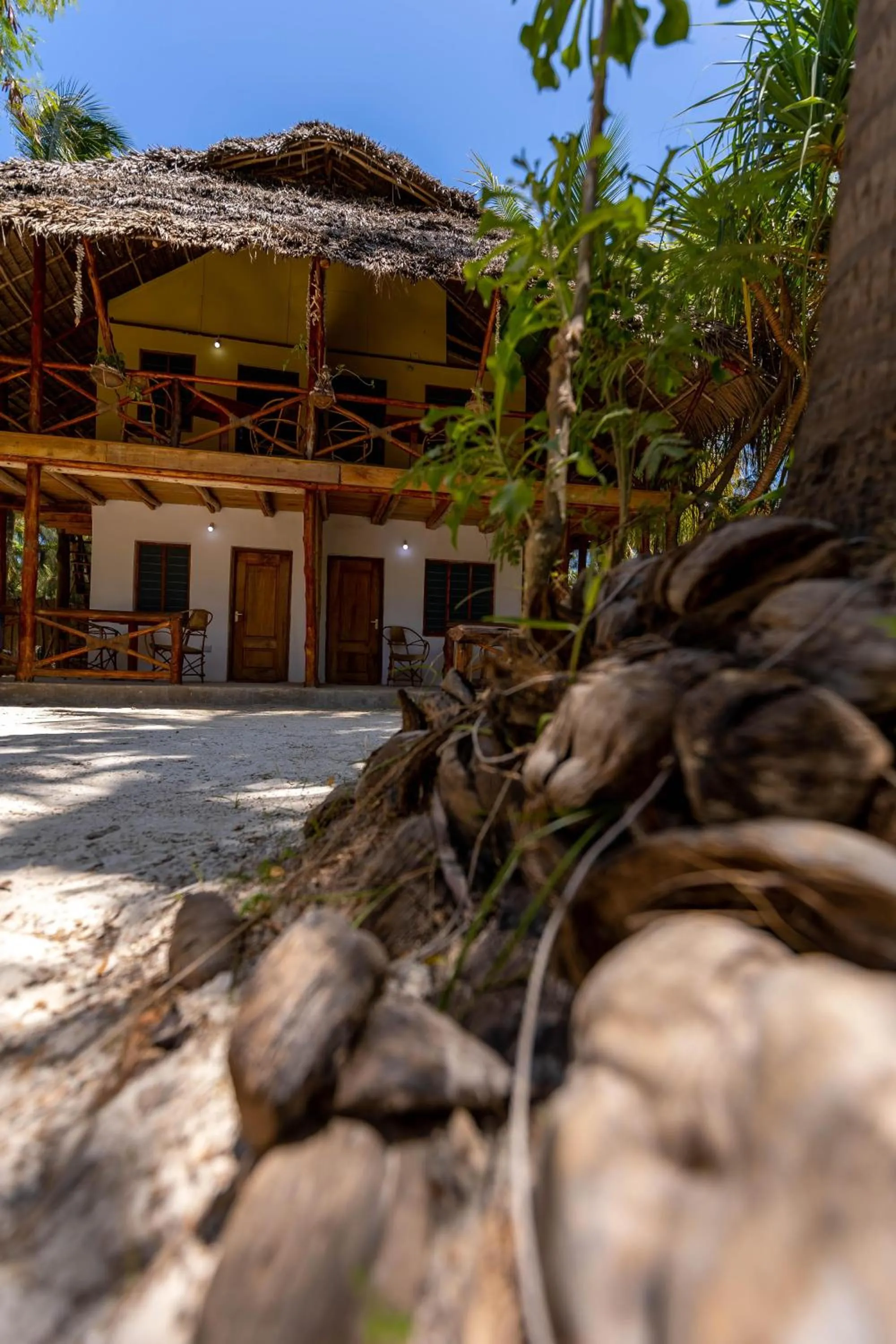 Garden in Eden Paradise